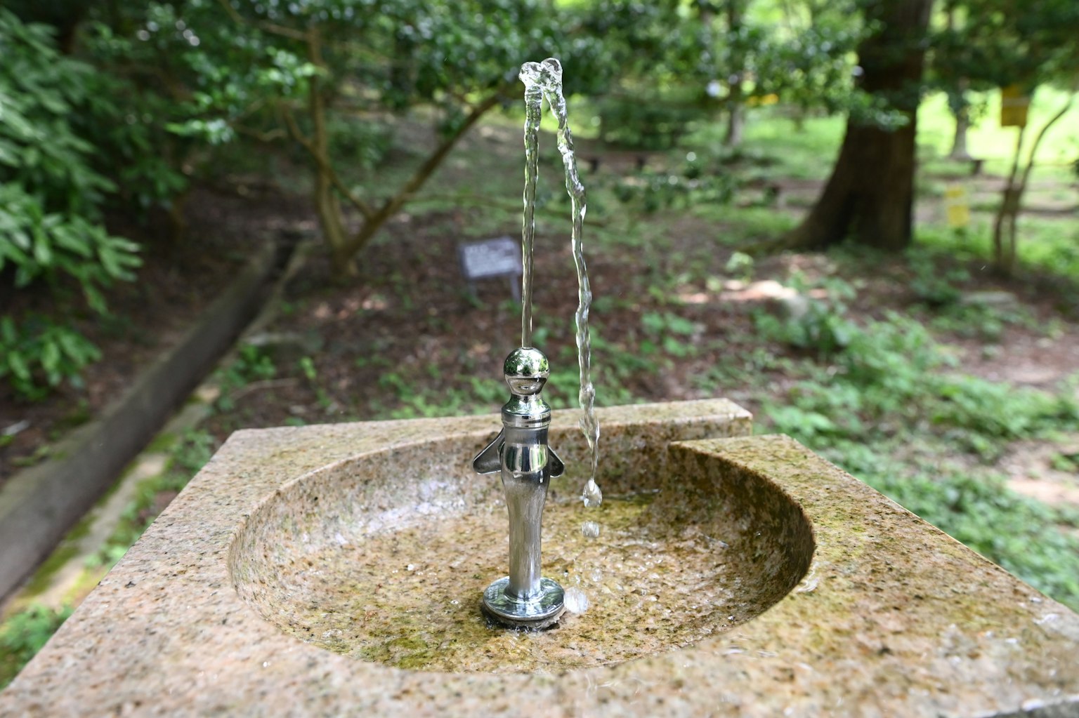 Fontana d'acqua in un parco con acqua che spruzza dal beccuccio circondata da verde