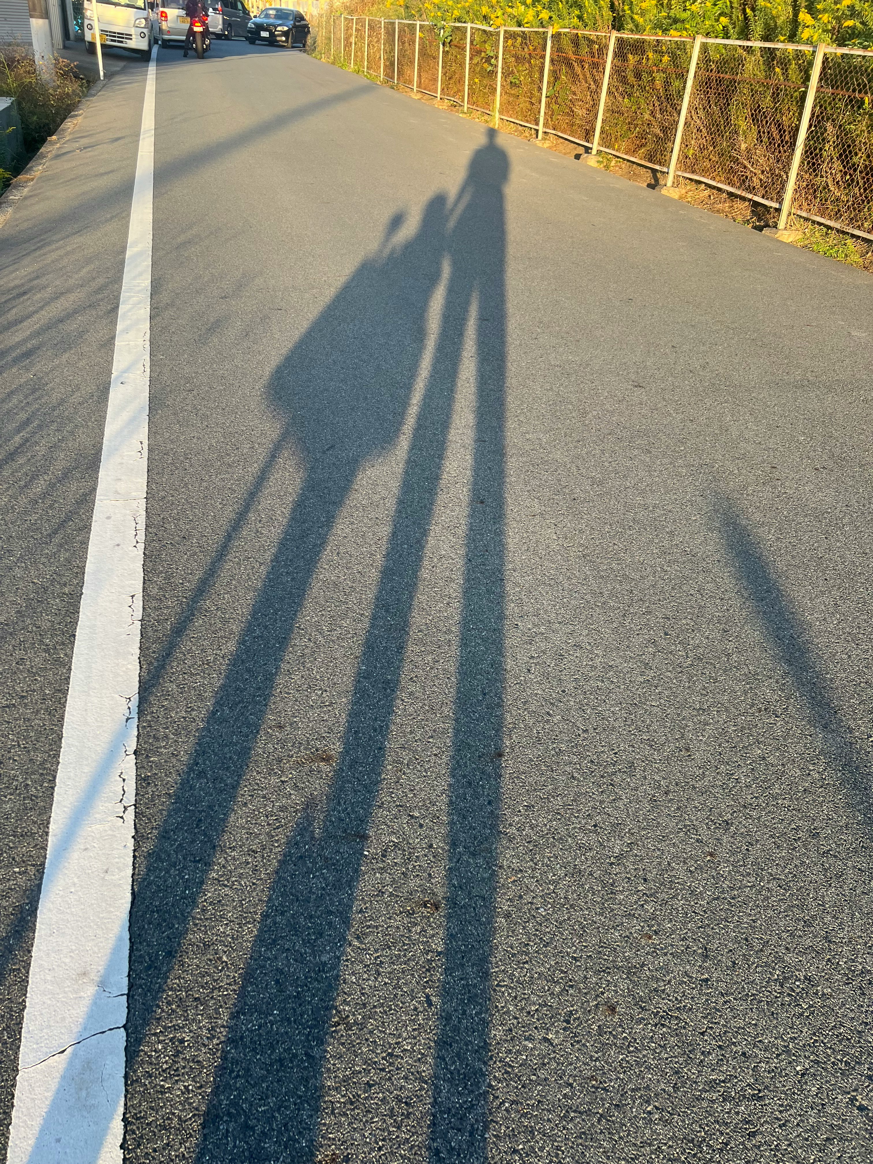 long shadows of a parent and child walking on a road at dusk