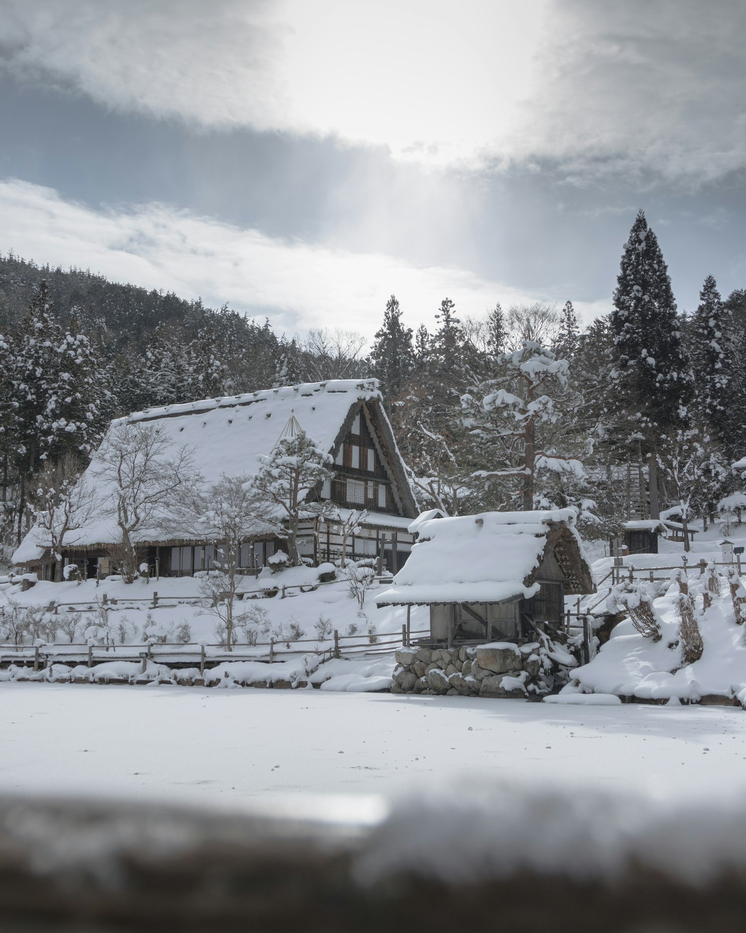 Maisons japonaises traditionnelles recouvertes de neige entourées par la nature