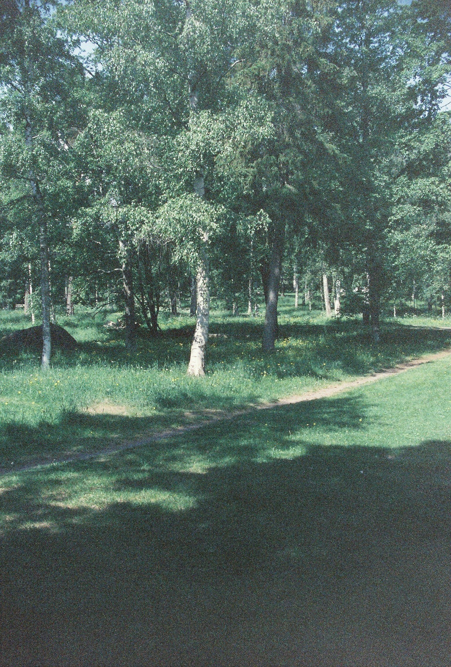 Malerei eines Weges, der sich durch einen üppigen grünen Wald schlängelt