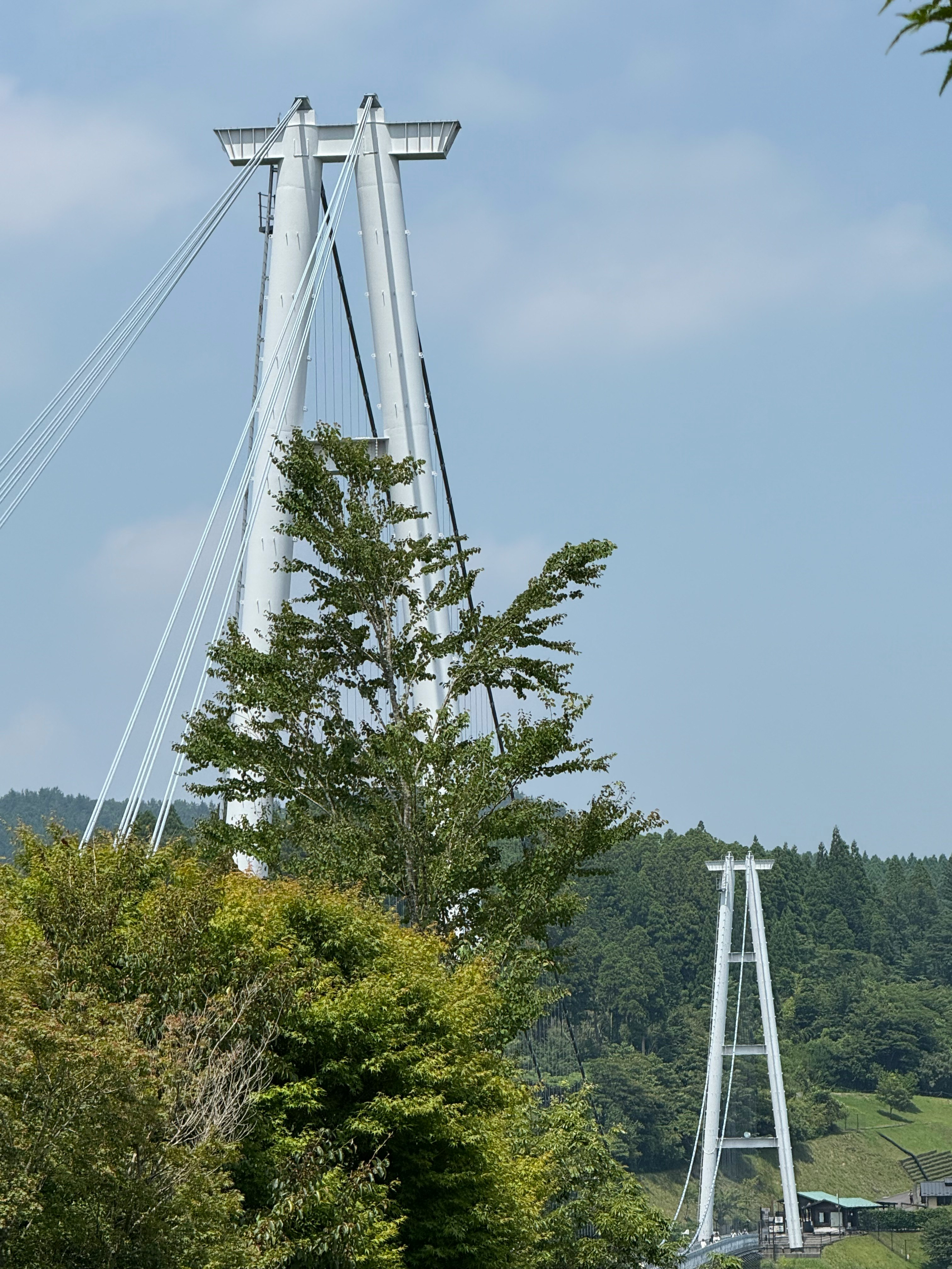 pont suspendu blanc dans un paysage de montagne avec des arbres verts