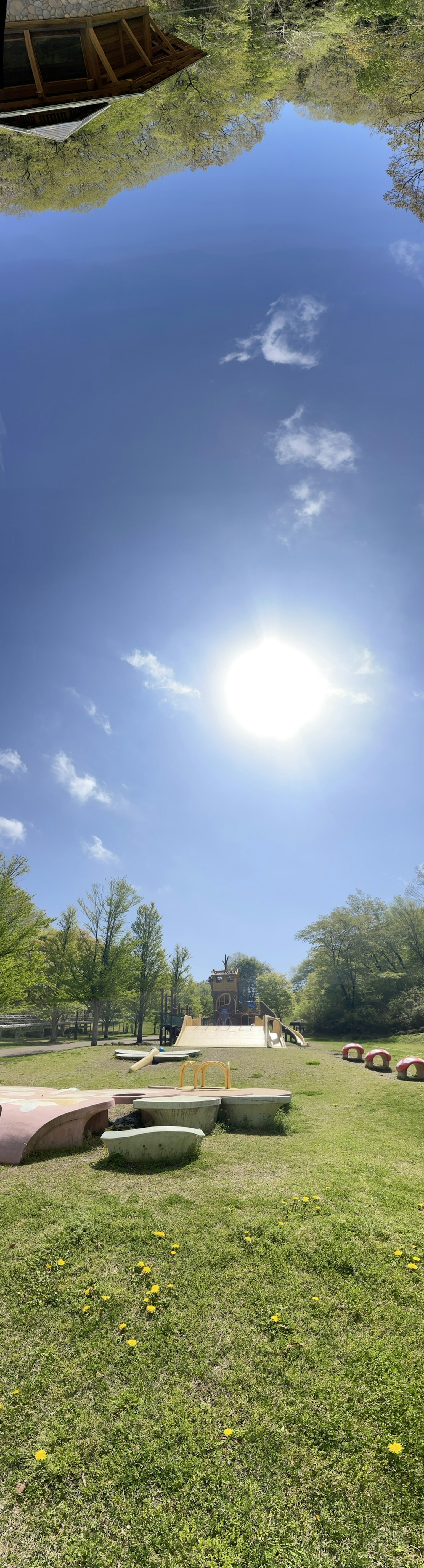 Una scena di parco luminosa con cielo blu e sole splendente che presenta aree erbose e panchine in pietra