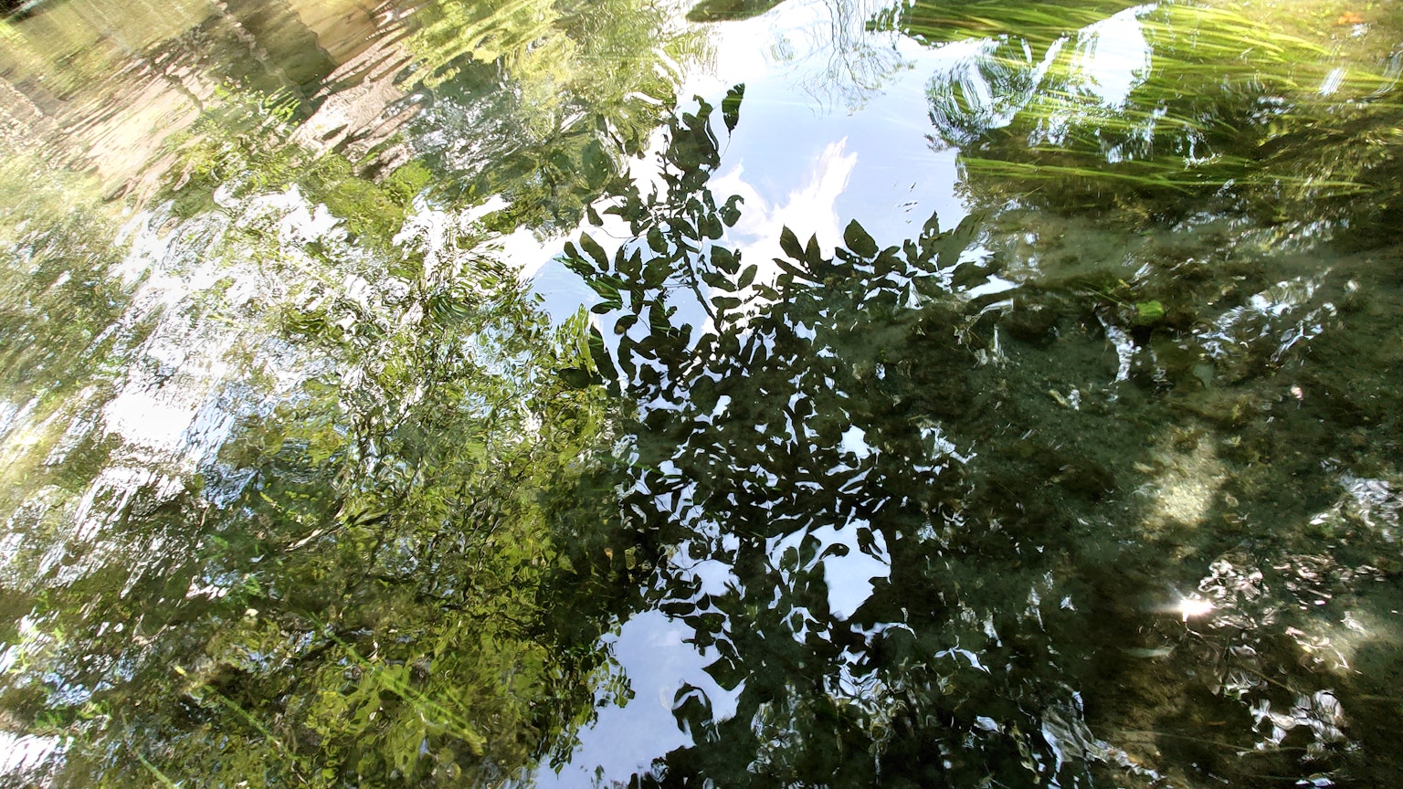 Reflexion von grünen Blättern und Himmel auf der Wasseroberfläche