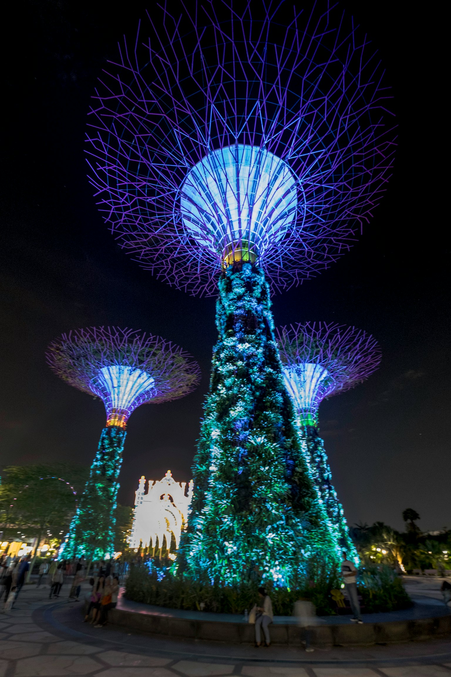 Cây siêu tại Gardens by the Bay được chiếu sáng bằng ánh sáng xanh và tím vào ban đêm