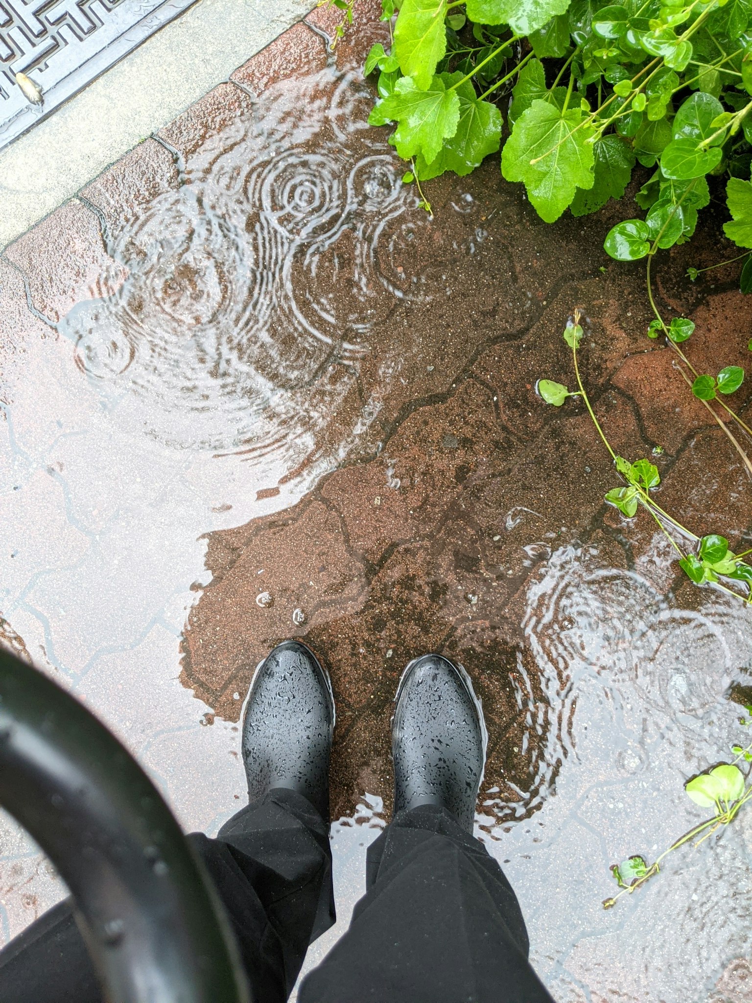 穿著黑色雨靴的雙腳站在水坑裡旁邊有綠色植物