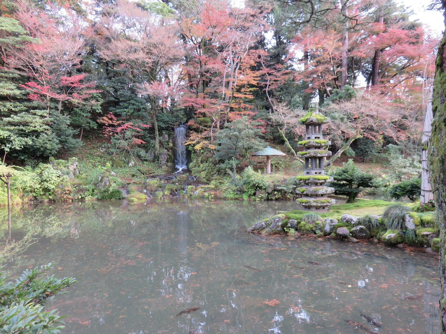 Scène de jardin japonais serein avec un étang et un feuillage d'automne