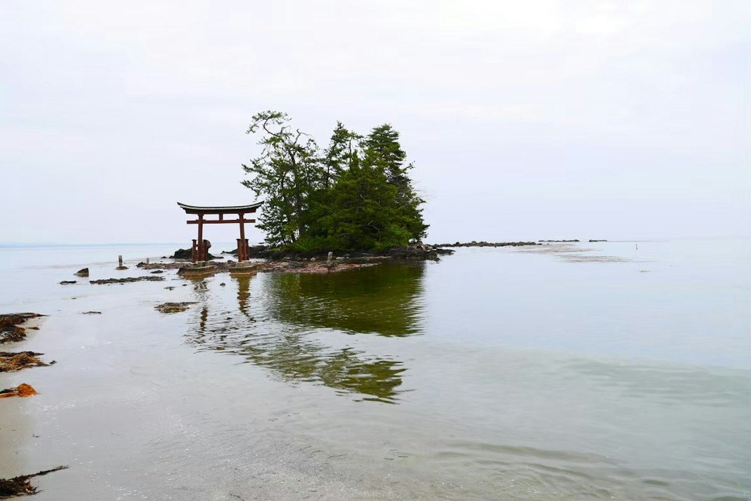 Ruhige Landschaft mit einer kleinen Insel und einem Torii in ruhigem Wasser