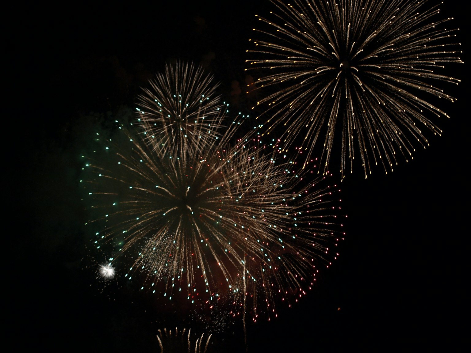 Colorful fireworks bursting against a black background