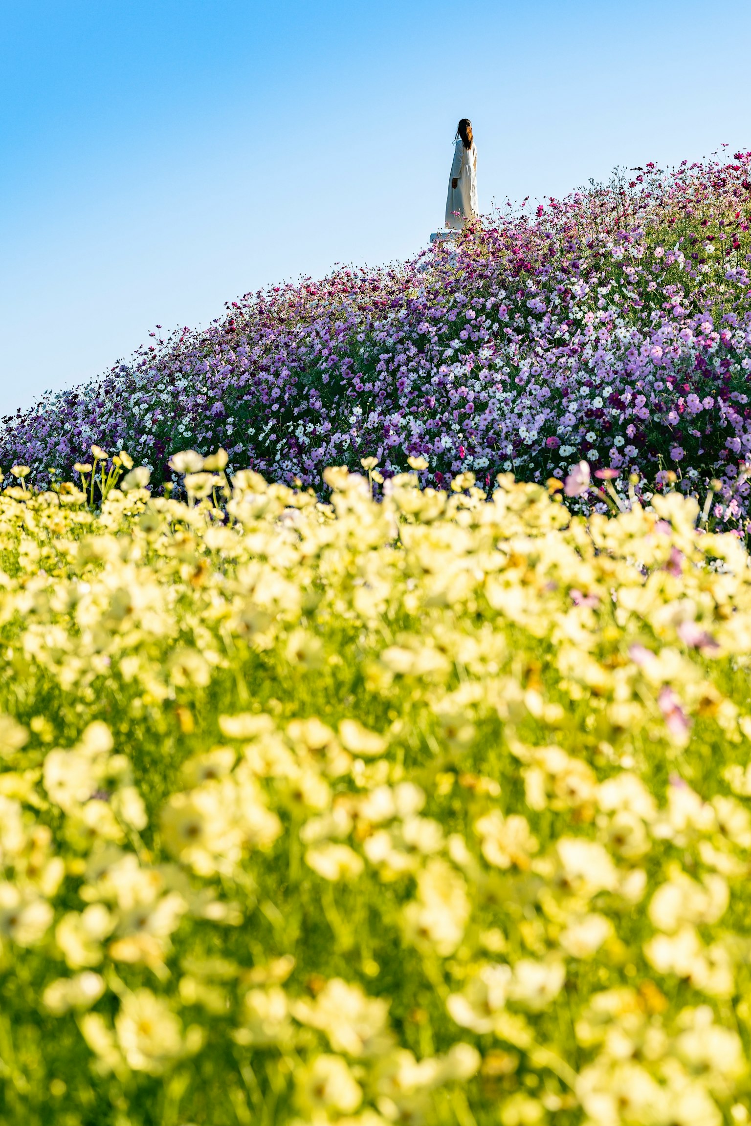 色とりどりの花が咲く丘の上に立つ像