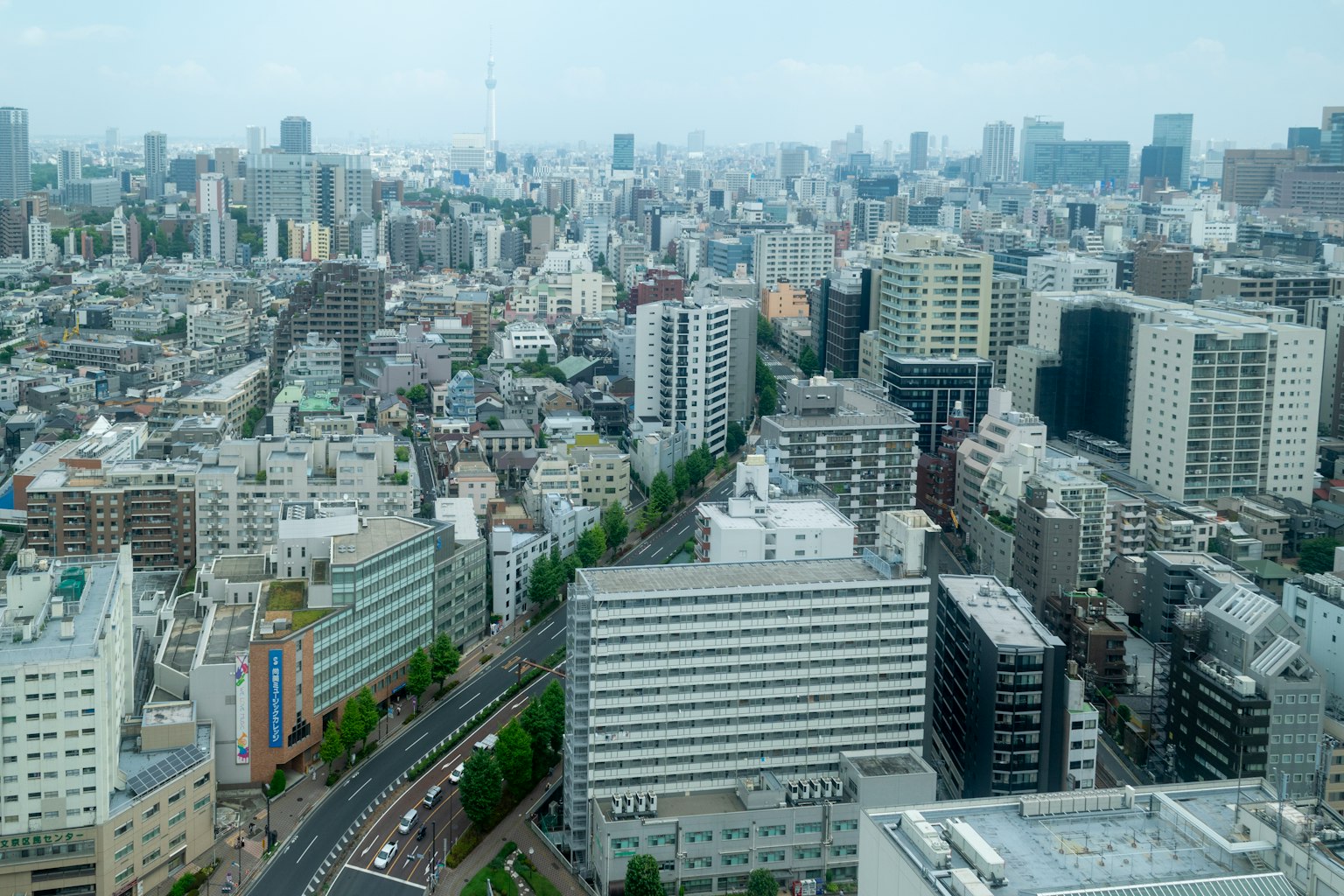 東京天際線的全景視圖，包括眾多高層建築