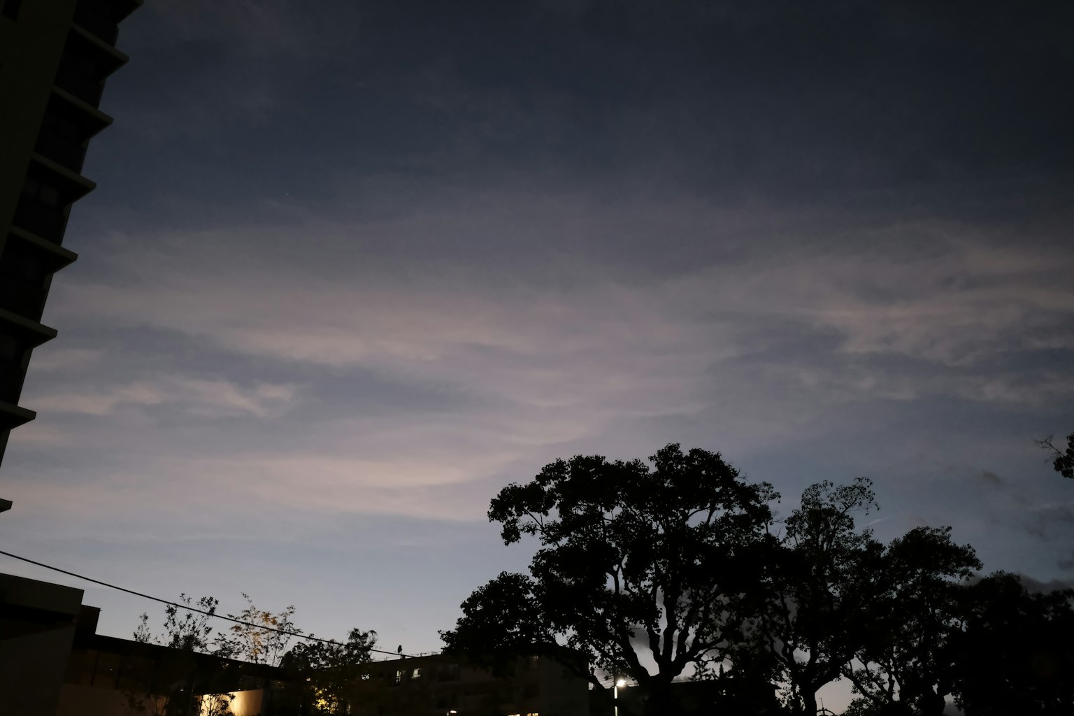 Silhouette von Bäumen vor einem Nachthimmel mit sanften Wolken