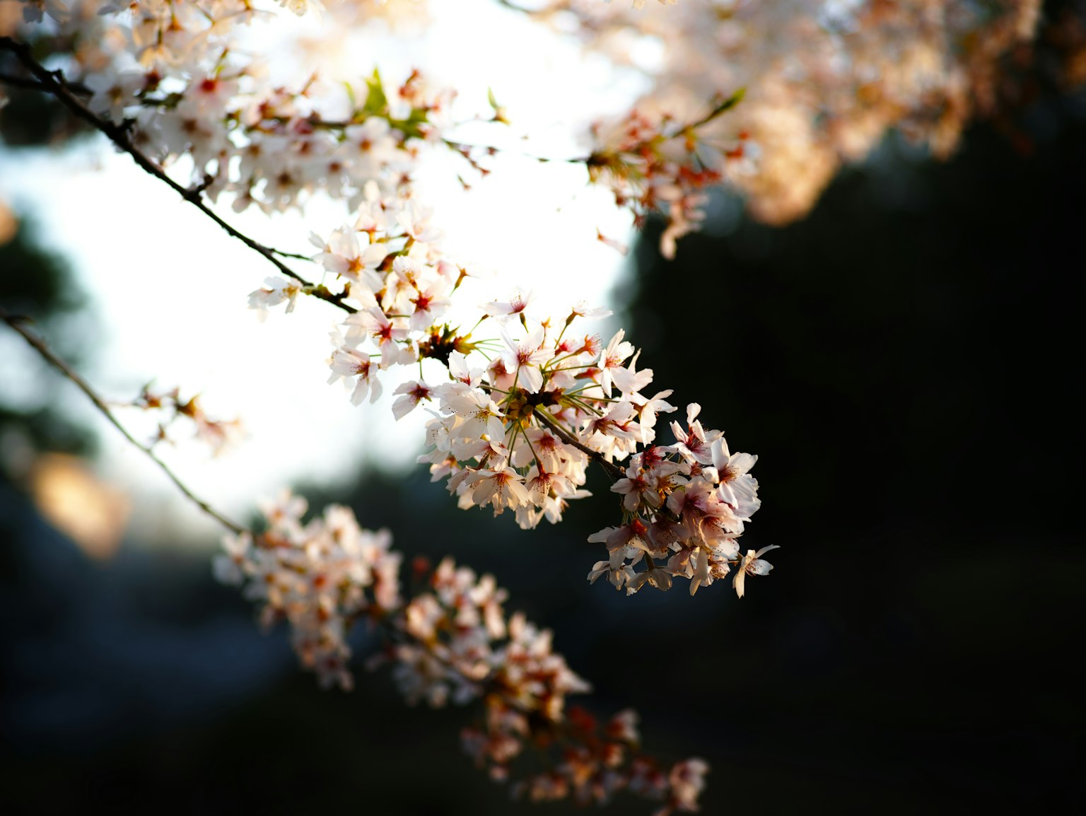 photo-J2csddvwYzSpe11h0K65-image