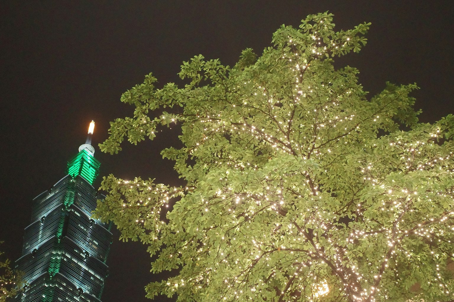 台北101の緑の照明とイルミネーションが施された木のコントラスト
