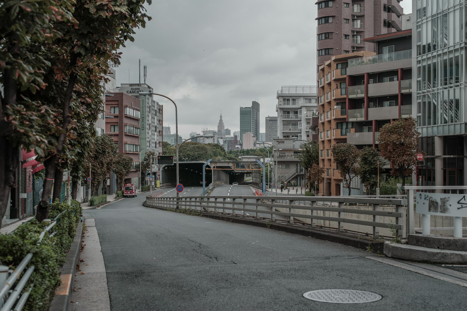 Paysage urbain calme avec ciel gris, bâtiments et rue, bordée d'arbres