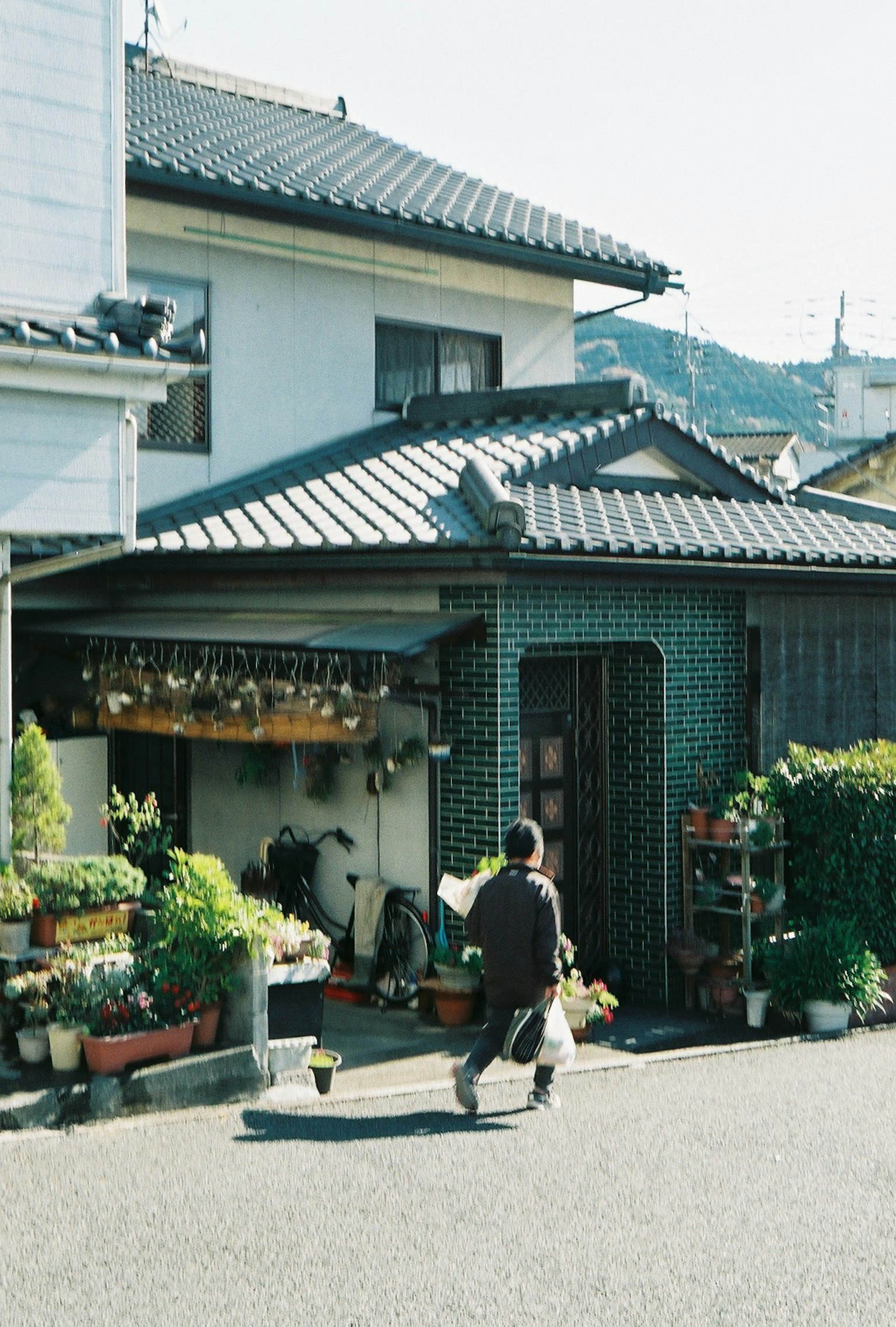 Maison japonaise traditionnelle dans une rue calme avec des affichages de plantes luxuriantes