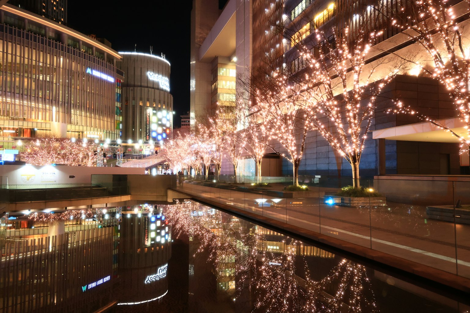 Paysage urbain nocturne avec des cerisiers et des reflets
