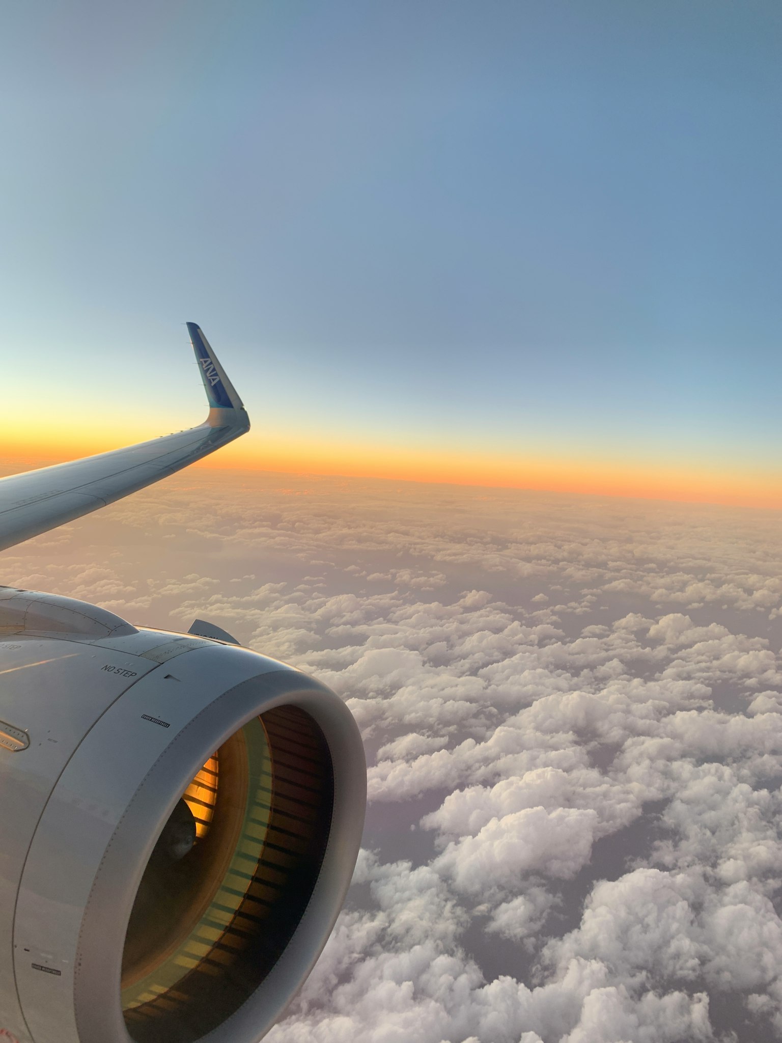 Flugzeugflügel und Triebwerk über Wolken bei Sonnenuntergang