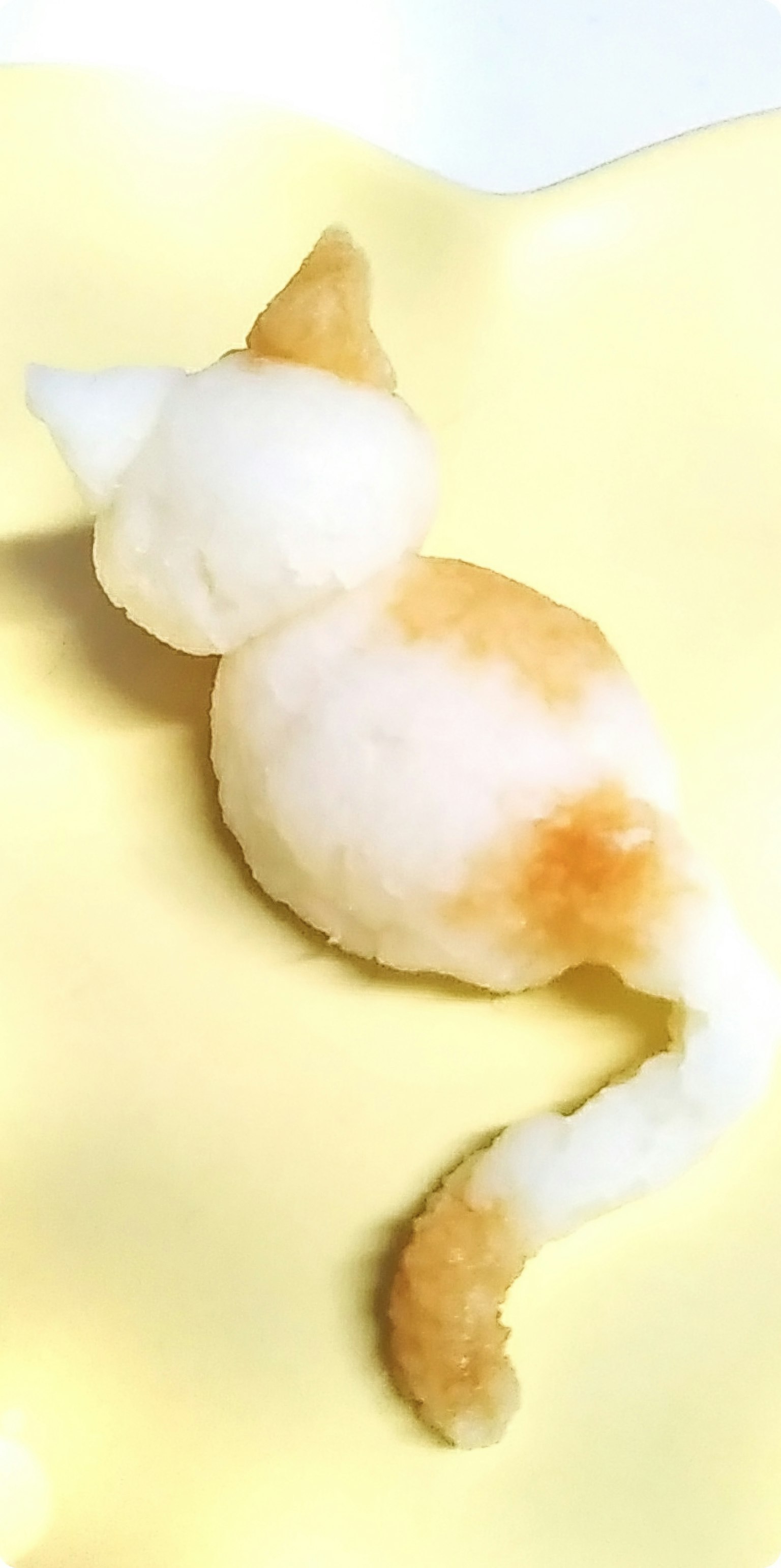 อาหารรูปแมวสีขาวและส้มบนพื้นหลังสีเหลือง