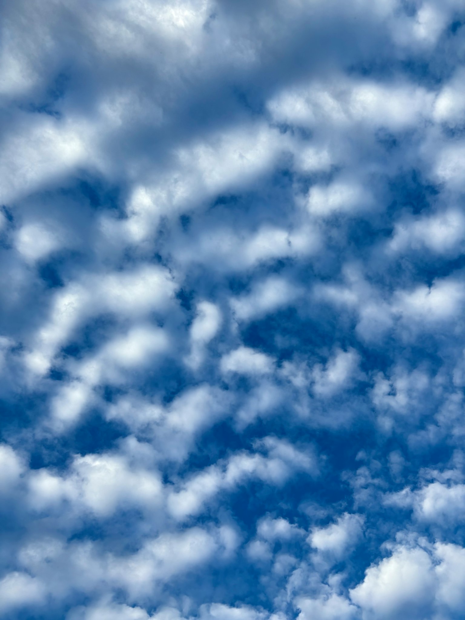青空に浮かぶ白い雲のパターンが広がる風景
