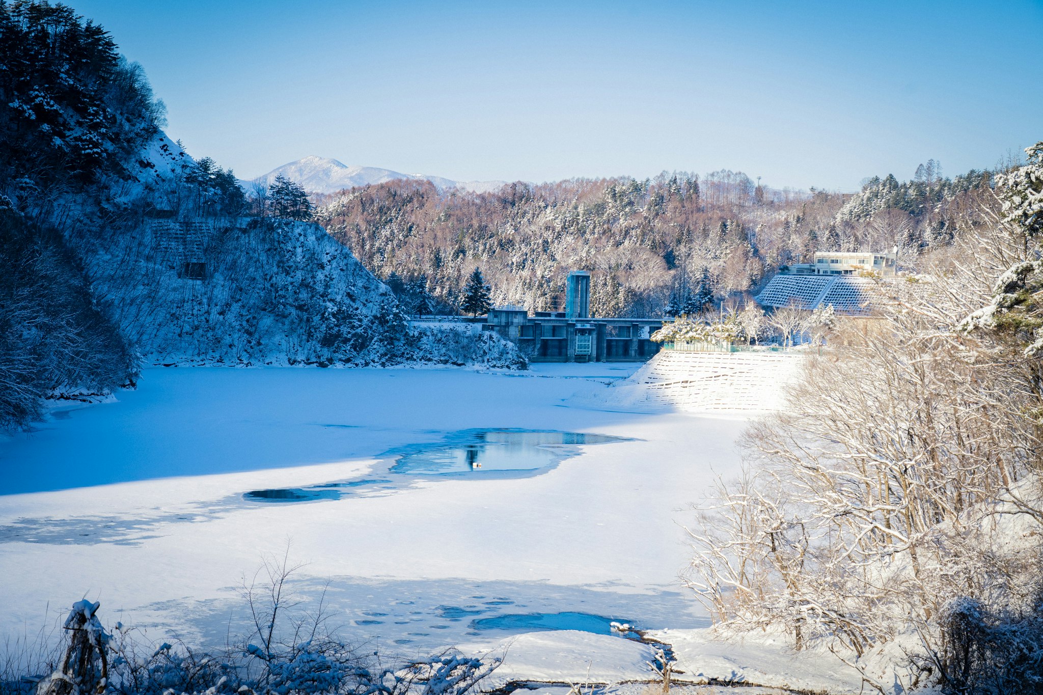 雪原の川沿いに続く冬の風景
