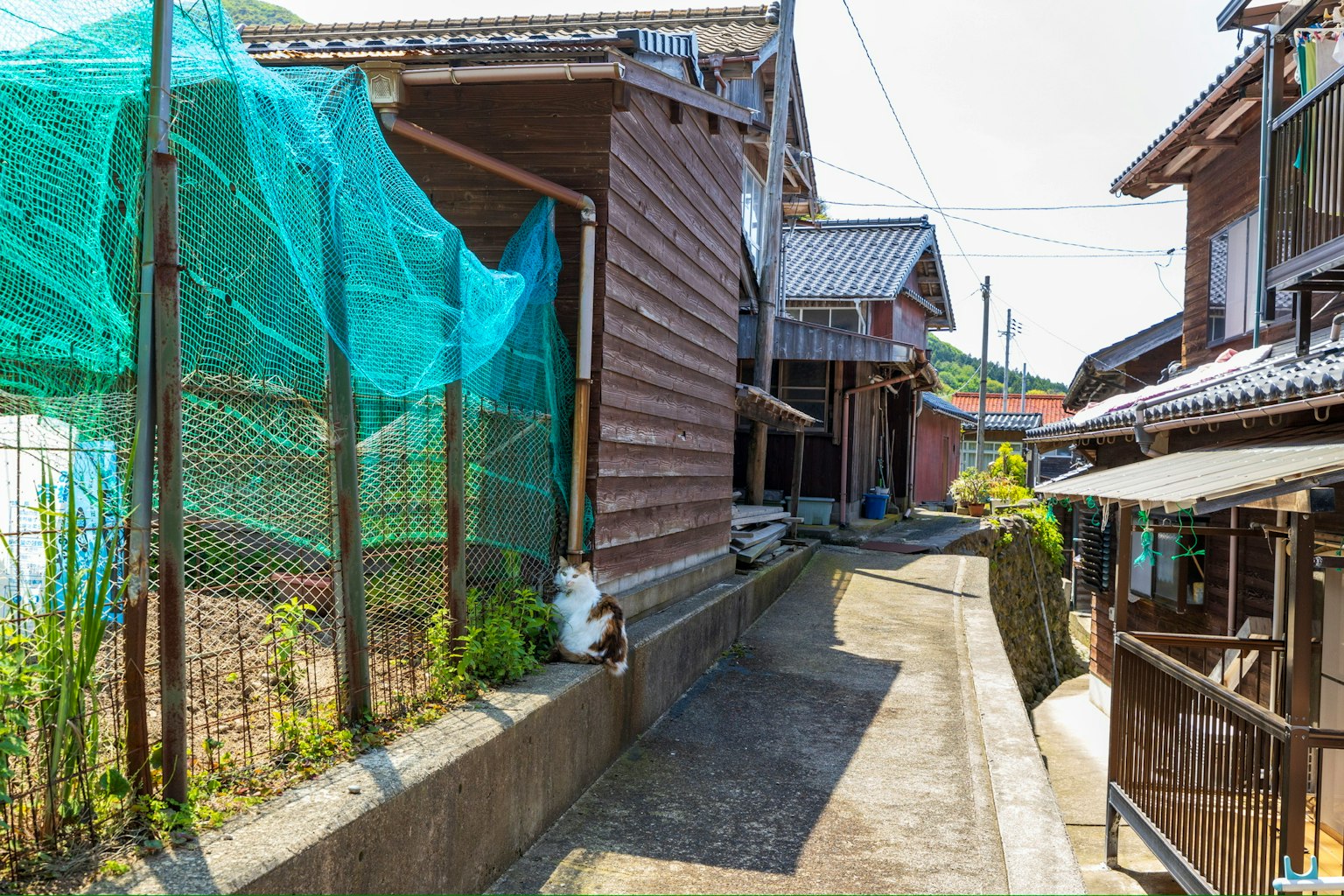 Narrow pathway lined with traditional Japanese houses and green netting