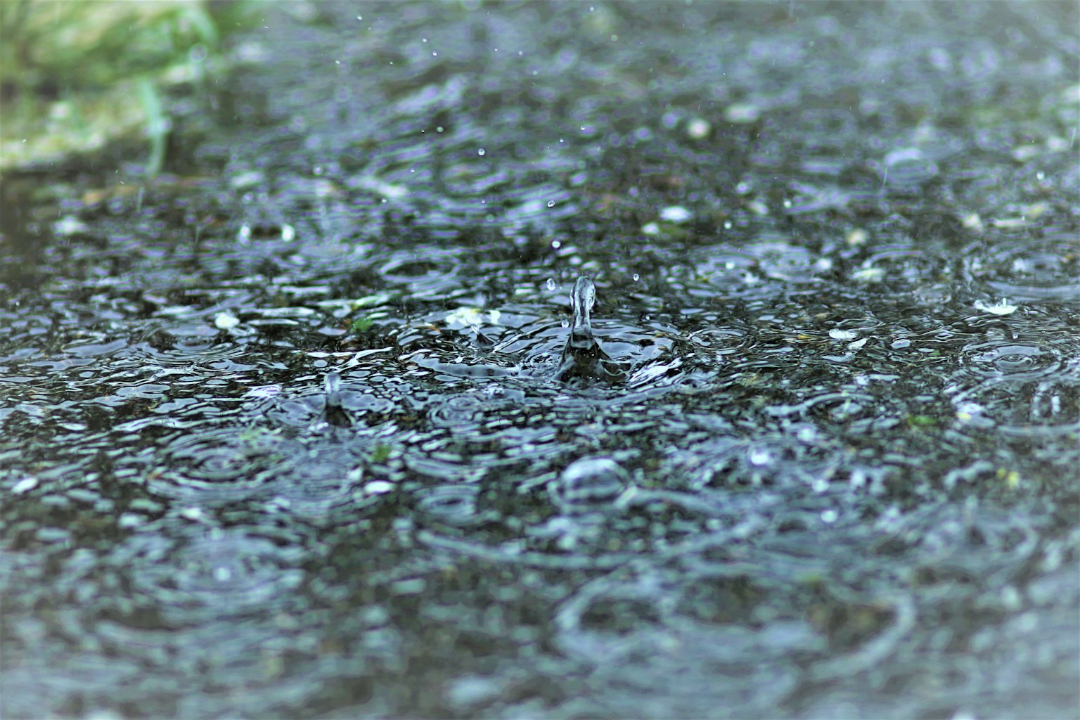 ภาพระยะใกล้ของหยดน้ำฝนบนผิวดิน