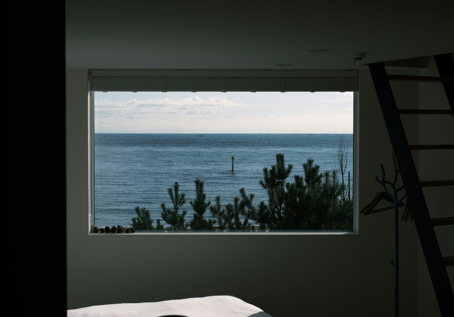 Vue sur la mer et les plantes à travers une fenêtre
