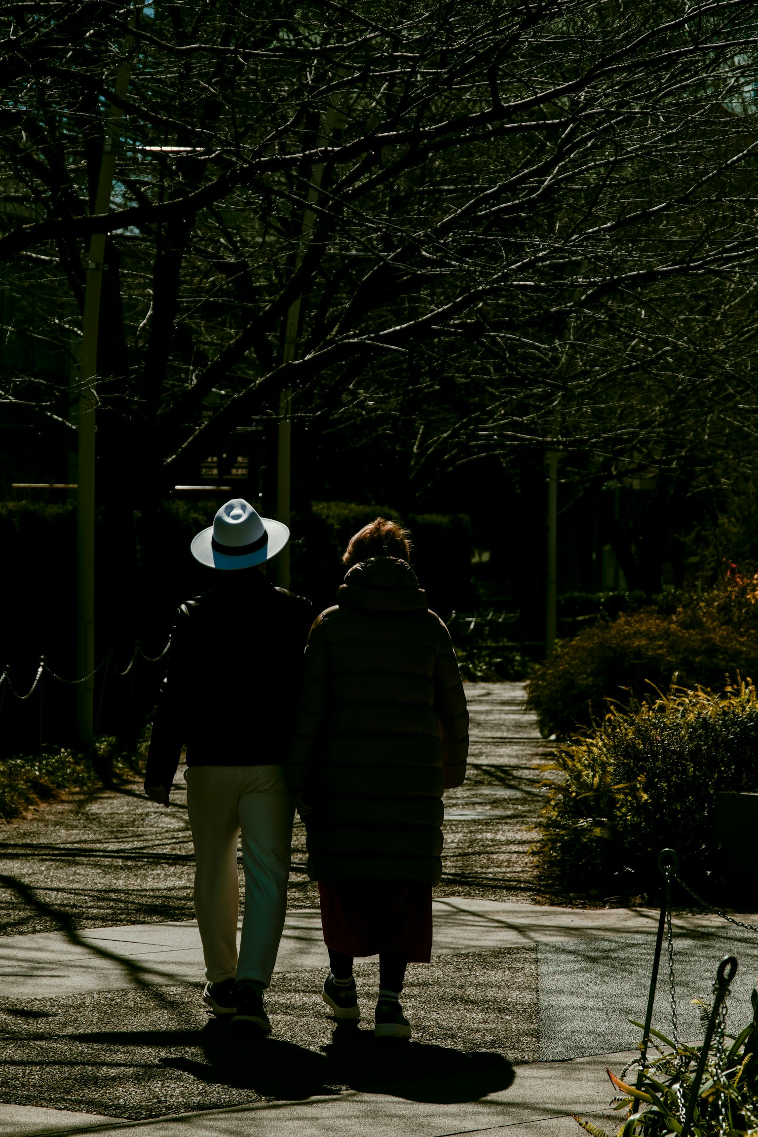 Two people walking in a park, a man in a hat and a woman in a coat, winter scenery
