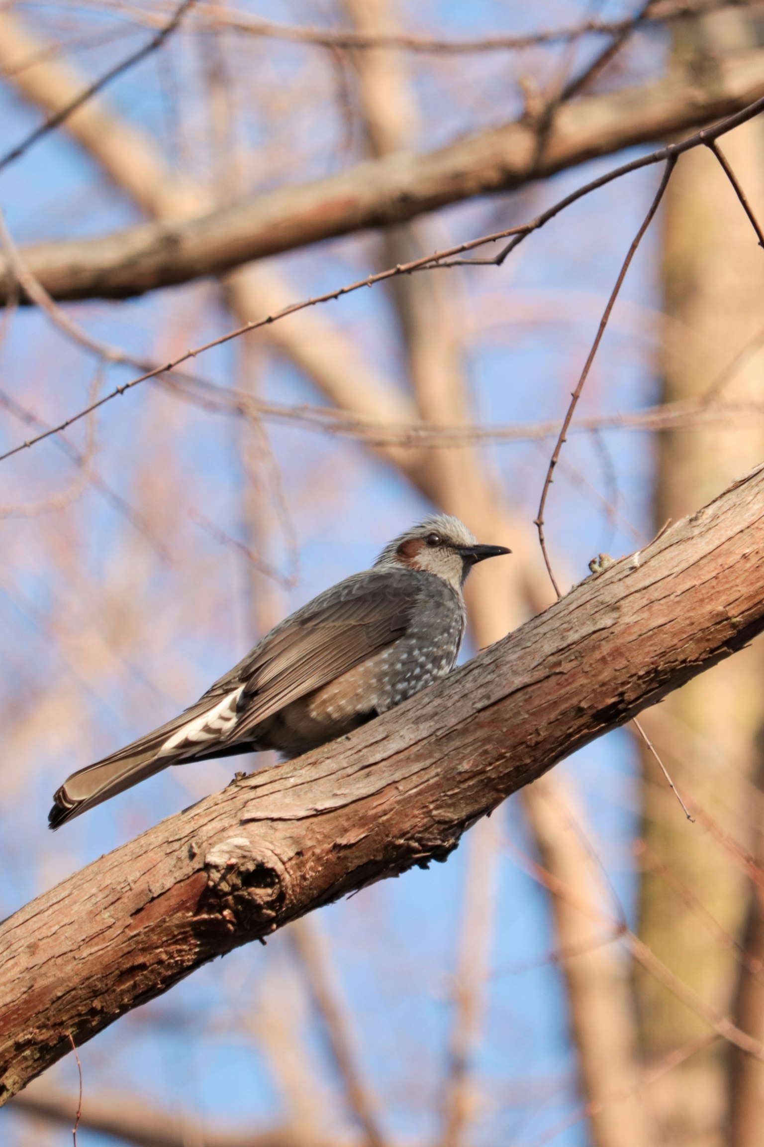 photo-J6pleEIViG1ce3ojgS5O-image