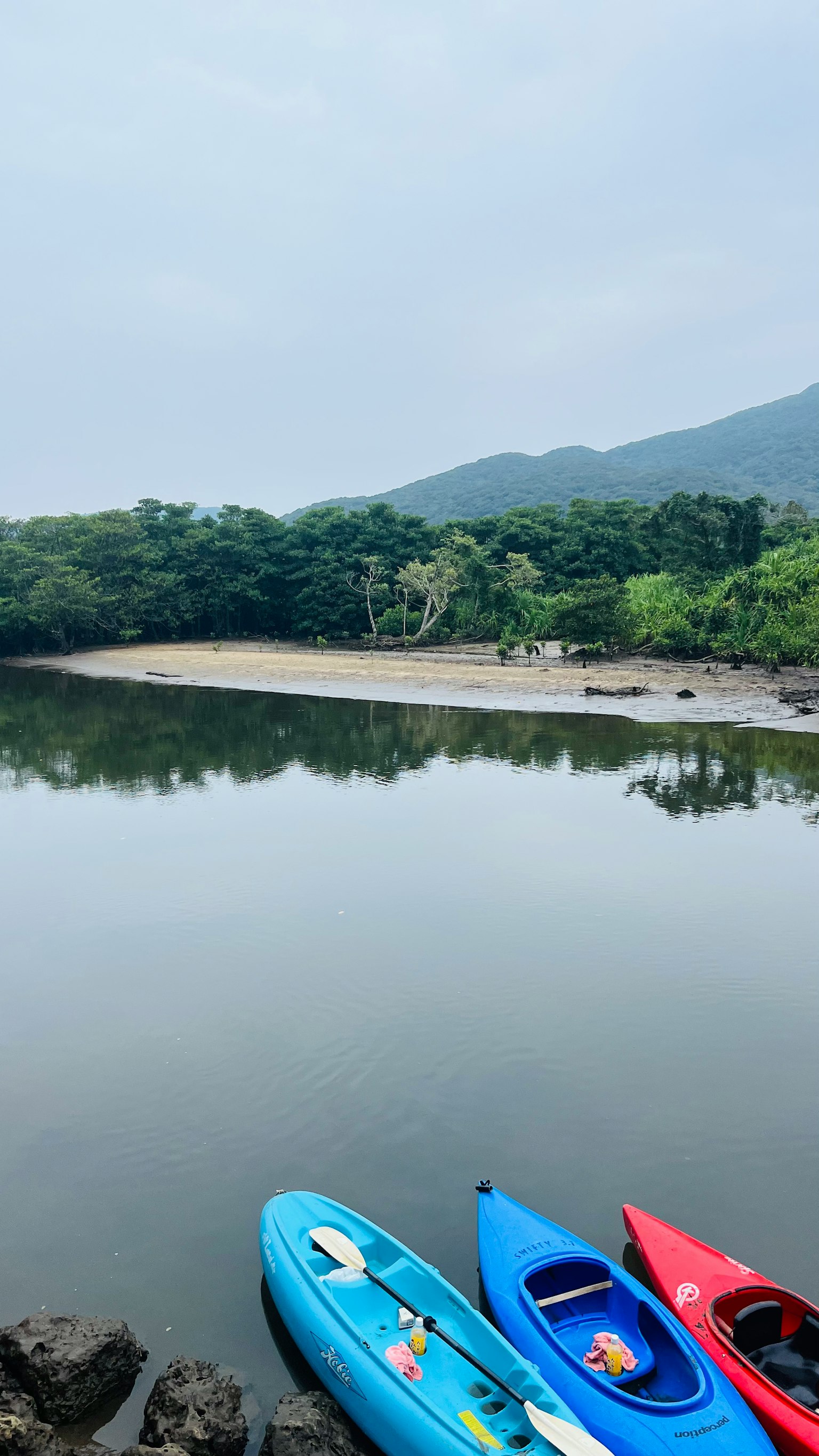 Kayak blu e rossi appoggiati a un corpo d'acqua calmo circondato da verde