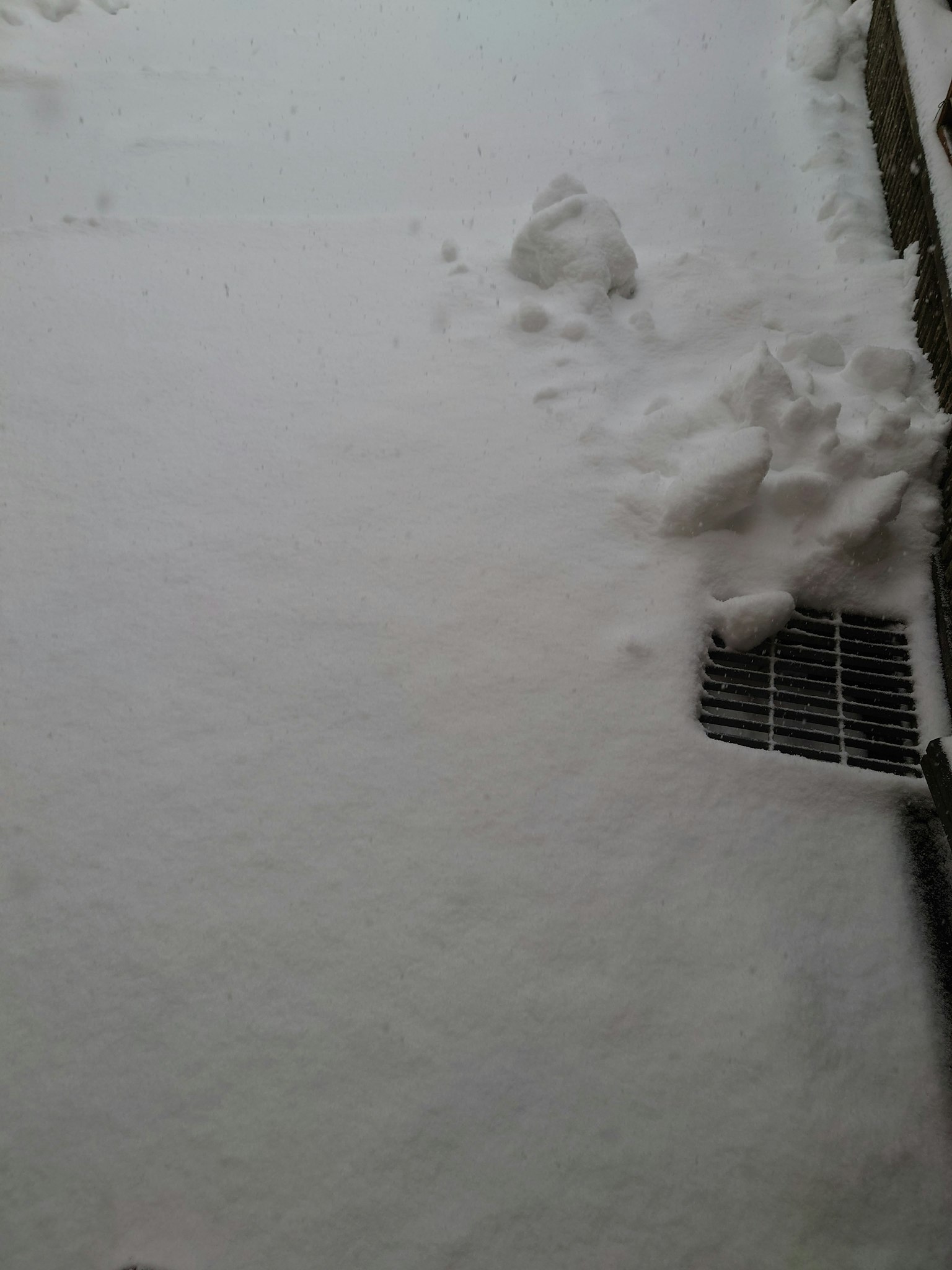 被雪覆蓋的地面和可見的排水口