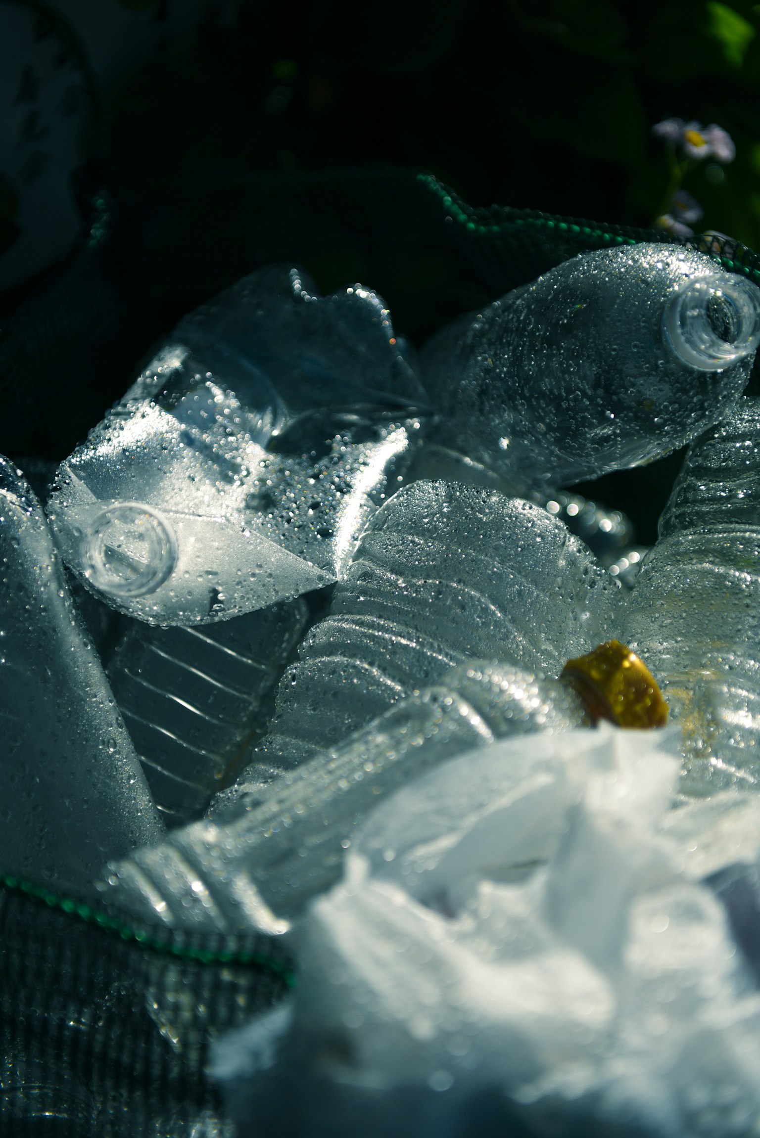 Immagine di bottiglie di plastica trasparenti e cubetti di ghiaccio mescolati