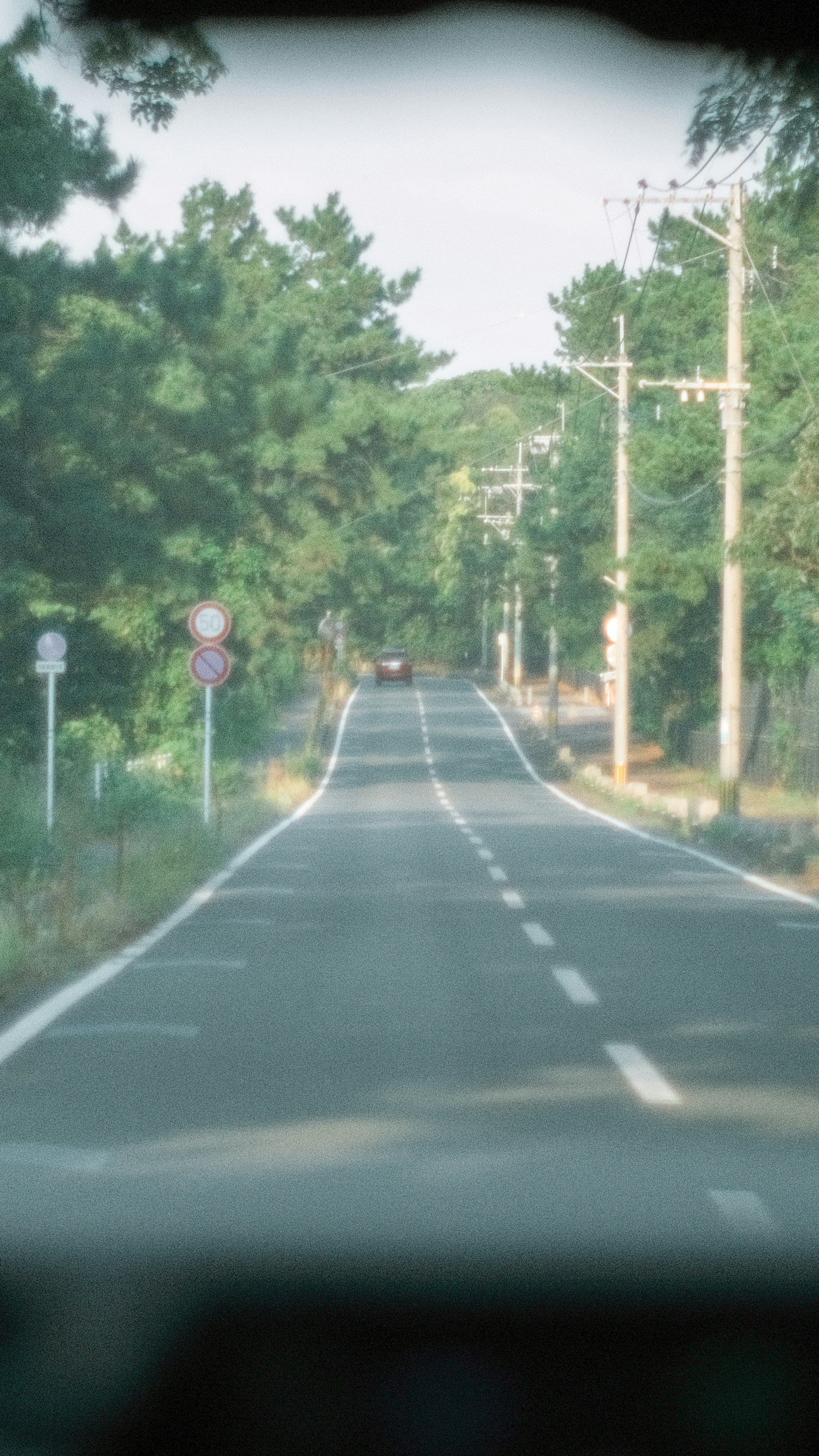 Une route droite entourée d'arbres verts avec des panneaux de signalisation