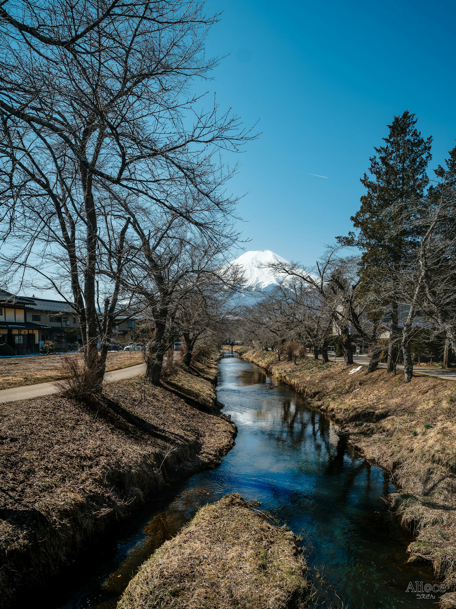 在晴朗的蓝天下，雪山和流动的河流的风景