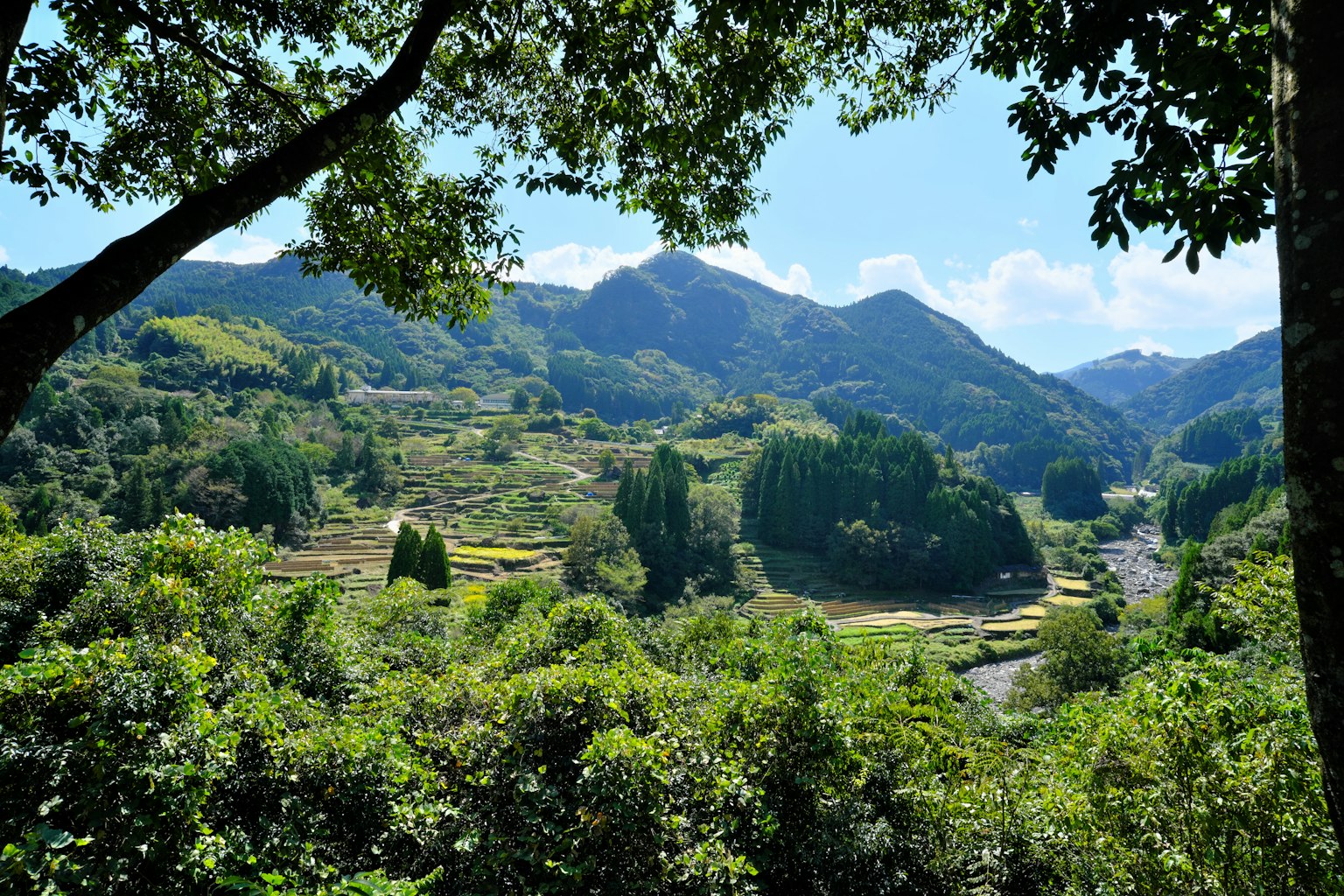 photo-J8H1DUmca83Vvv3o7gNZ-image