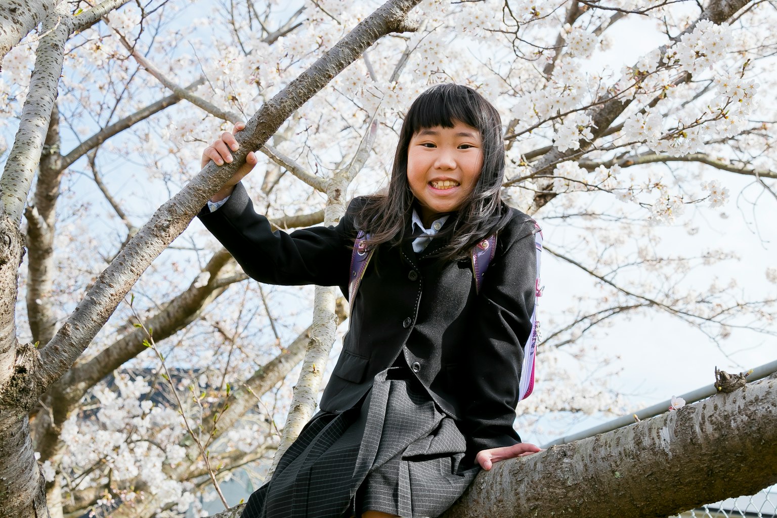 A girl sitting on a cherry blossom tree smiling