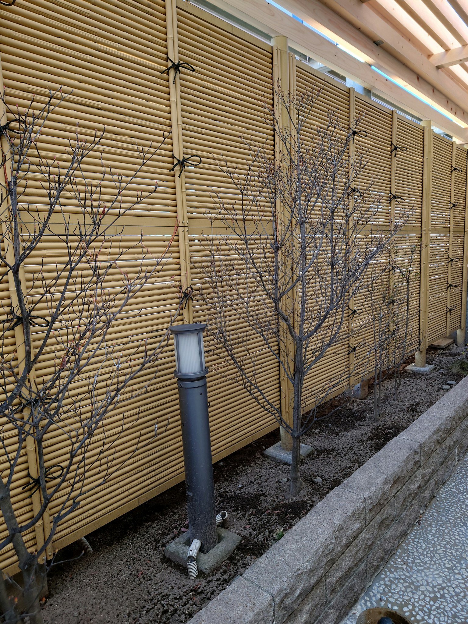 Jardin d'hiver avec des arbres nus et une clôture en bois