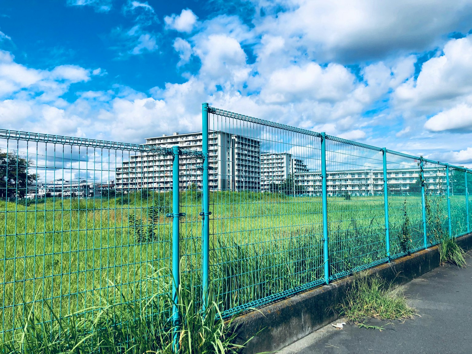 Lapangan hijau dengan pagar biru dan bangunan di bawah langit biru