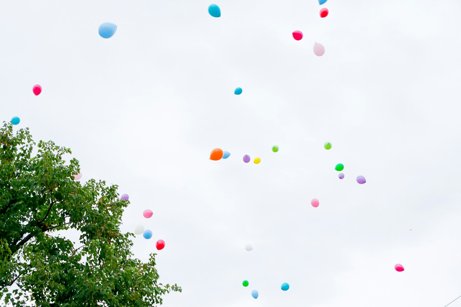 Balon berwarna-warni mengapung di langit dengan pohon hijau