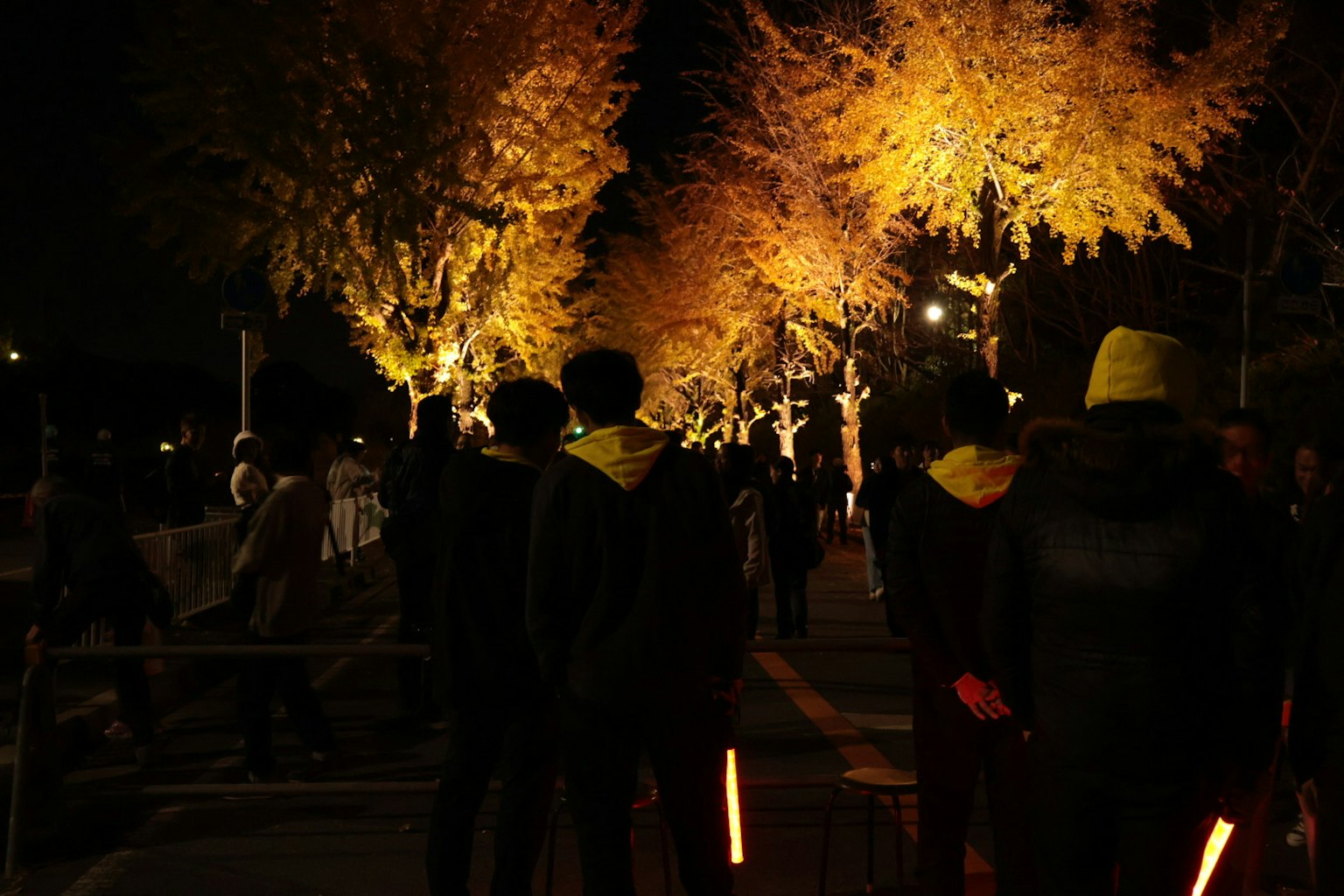 Persone che camminano in un parco di notte con alberi illuminati