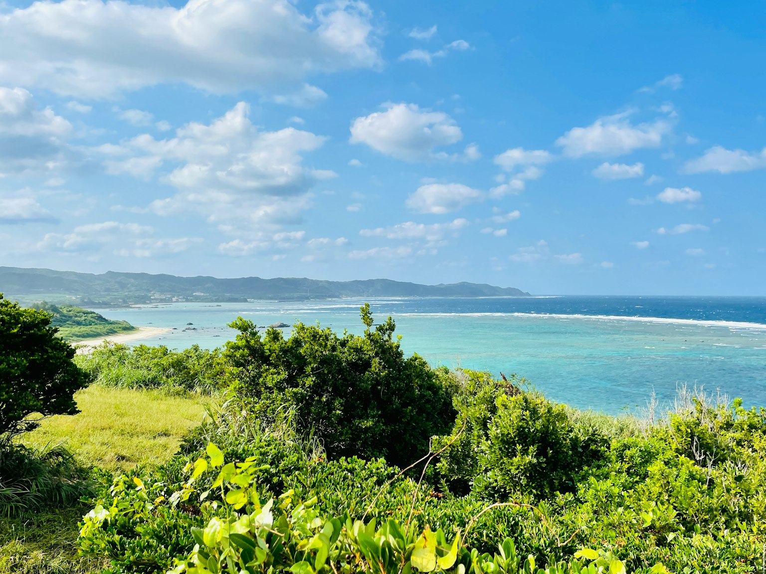 Schöner Blick auf den blauen Ozean umgeben von grüner Vegetation