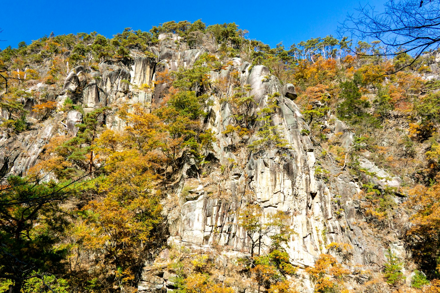 Rocky cliff adorned with autumn foliage and clear blue sky