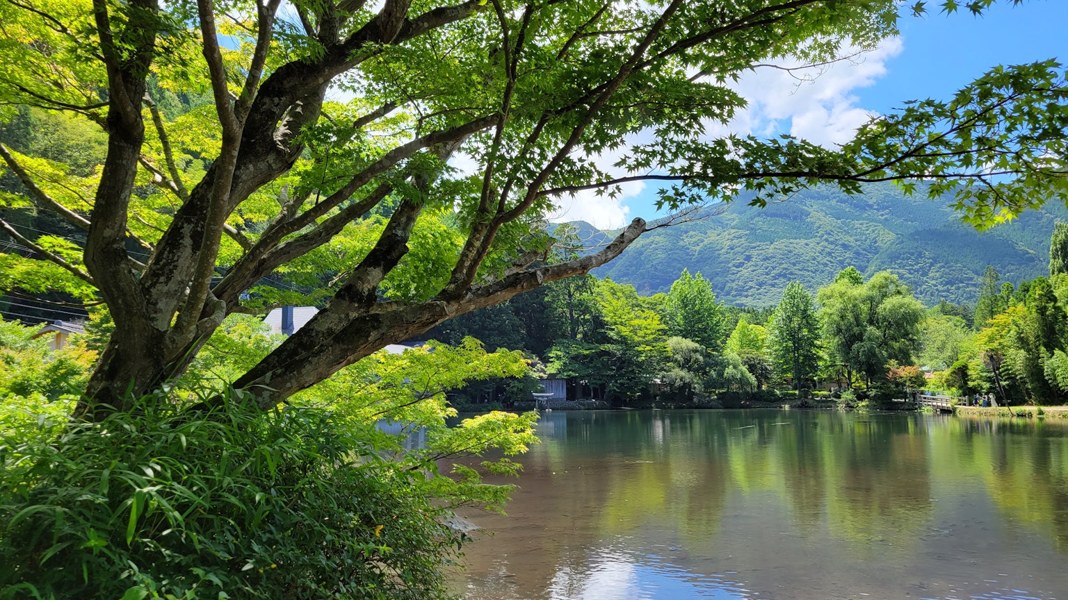 郁郁蔥蔥的綠色環繞著寧靜的湖泊，背景是藍天和山脈