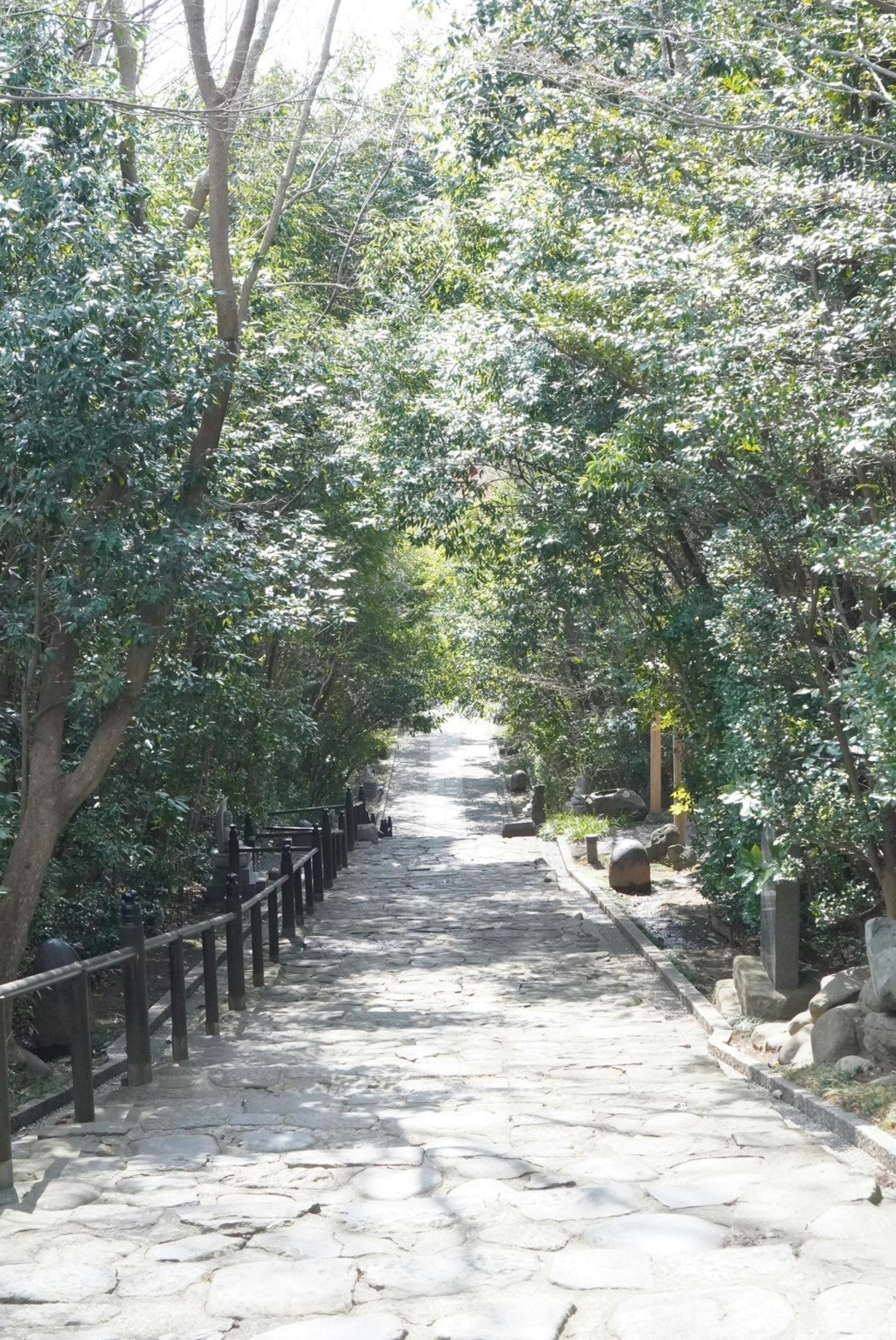 木々に囲まれた石畳の小道