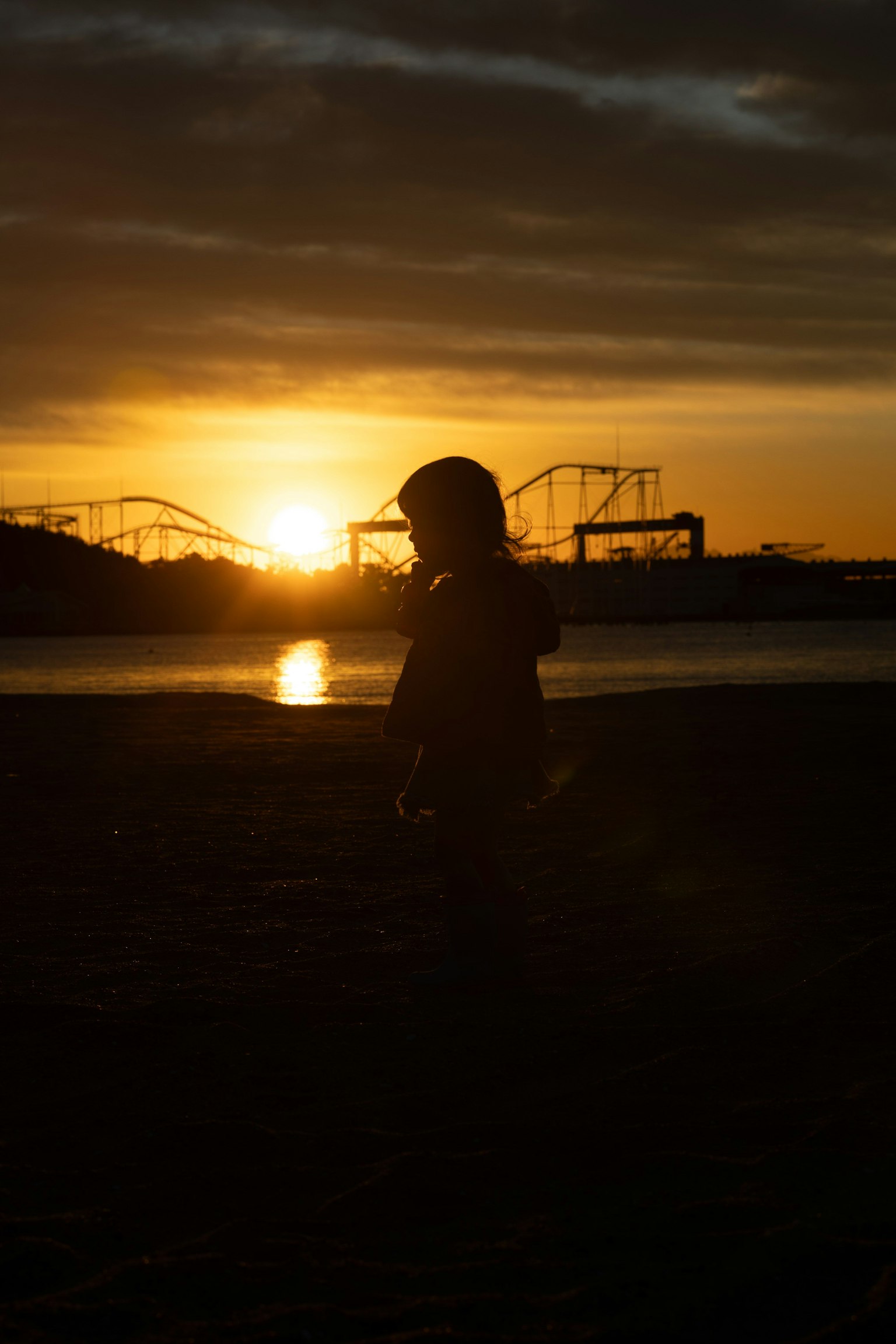 Silhouette of a child against a sunset with amusement park roller coasters in the background