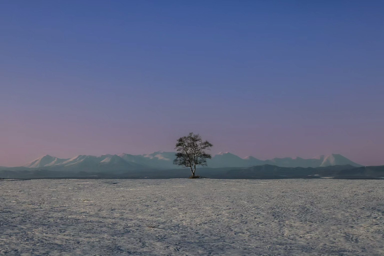 A single tree on a snow-covered plain with mountains in the background