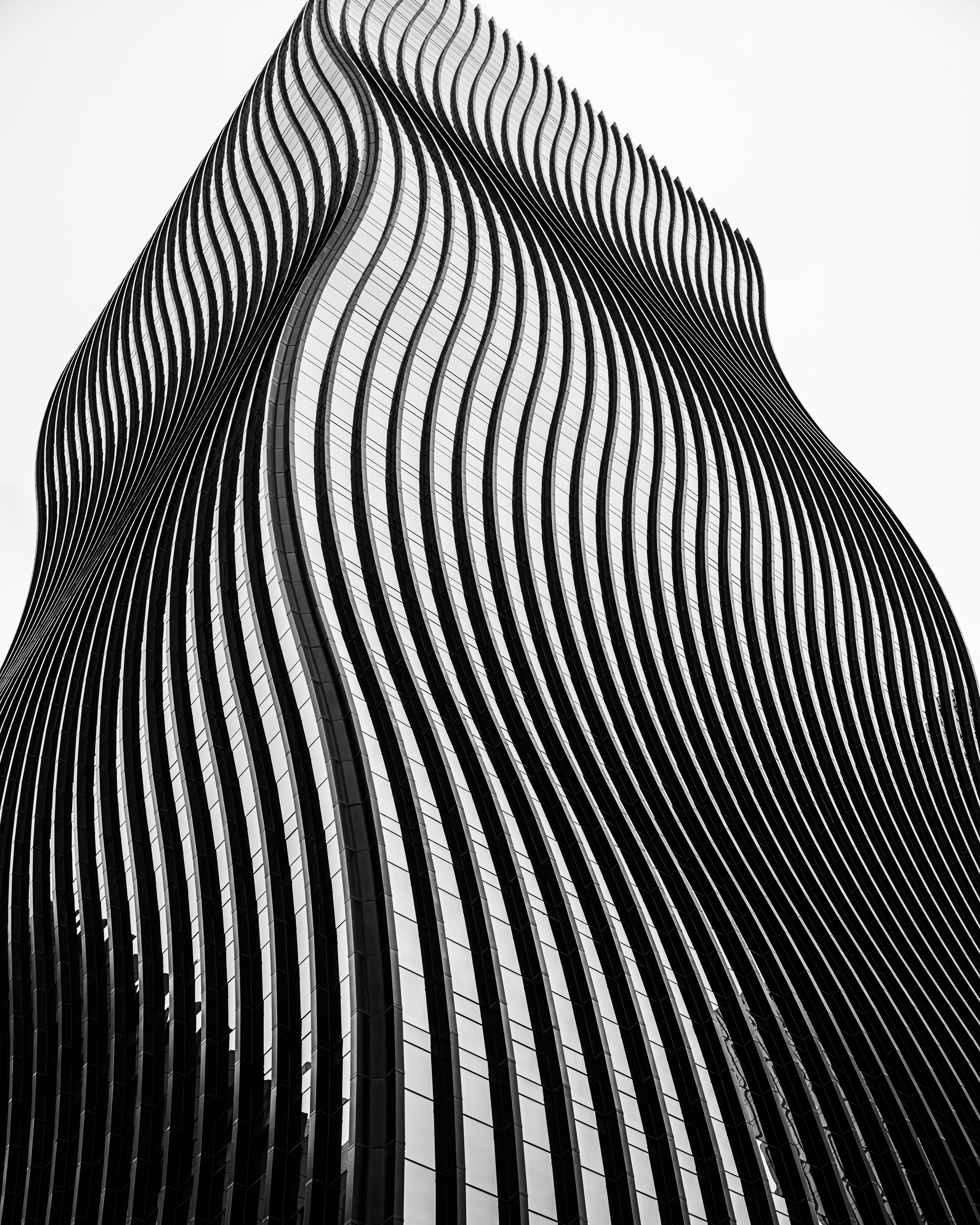 black radiating curved architectural-like lines on a white background