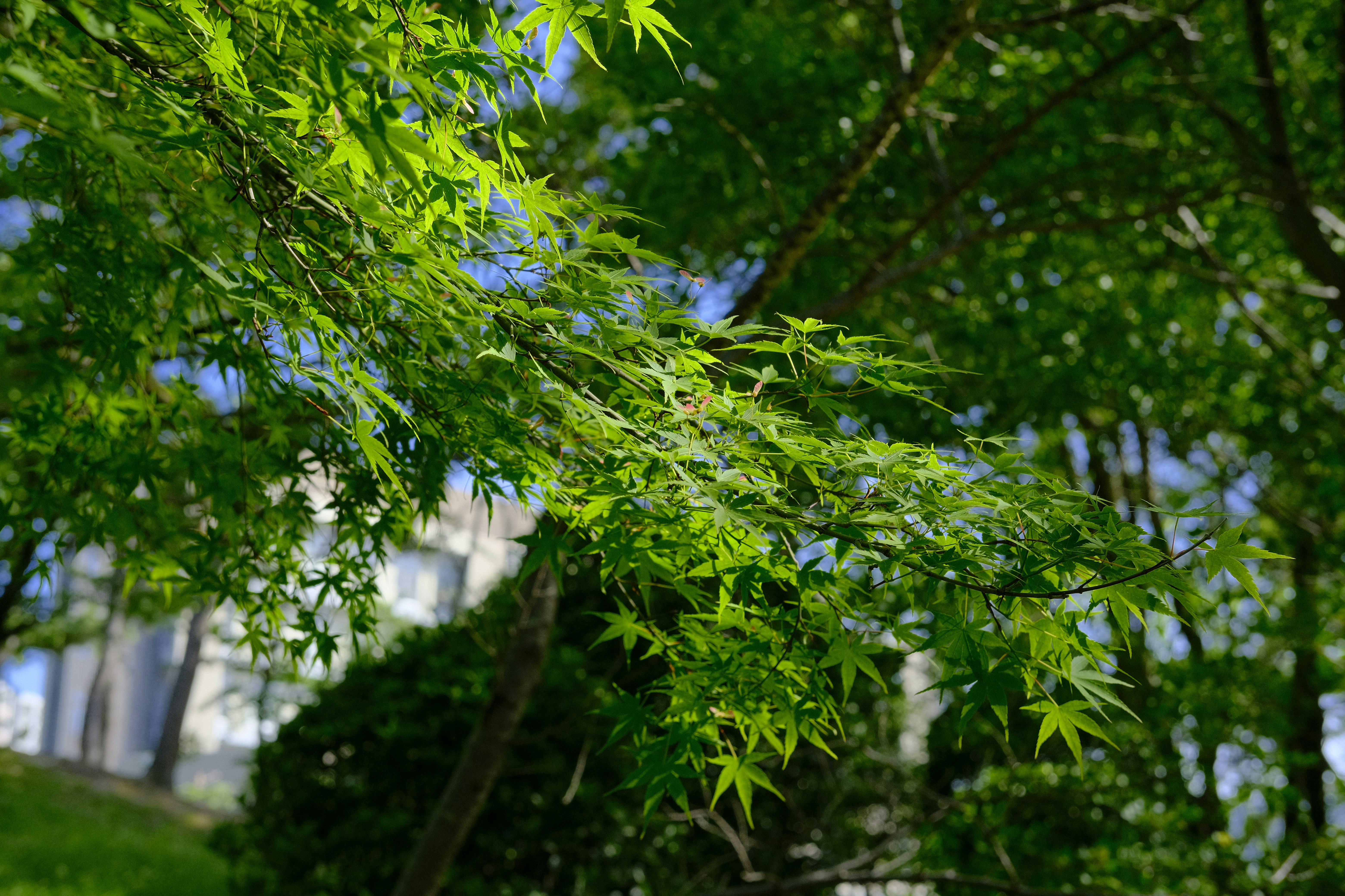photo-JD2bAl25J44l7v3vkBfV-image