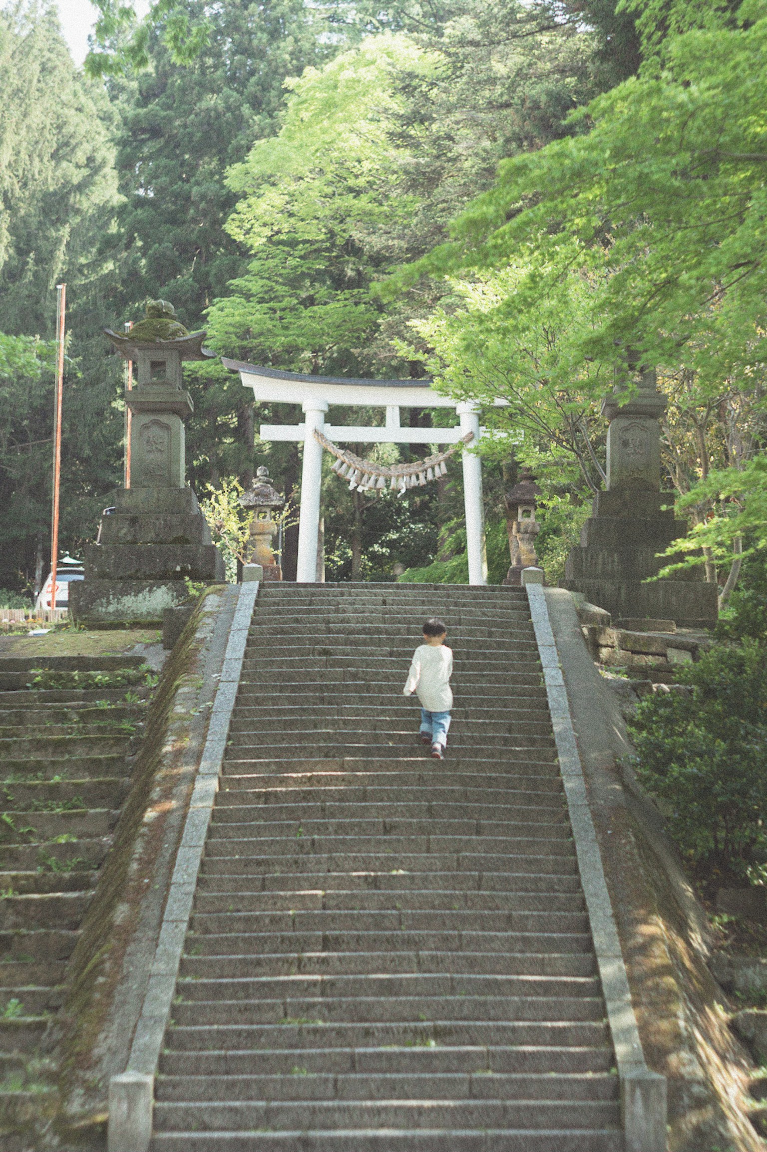 A person walking up steps towards a torii gate surrounded by greenery