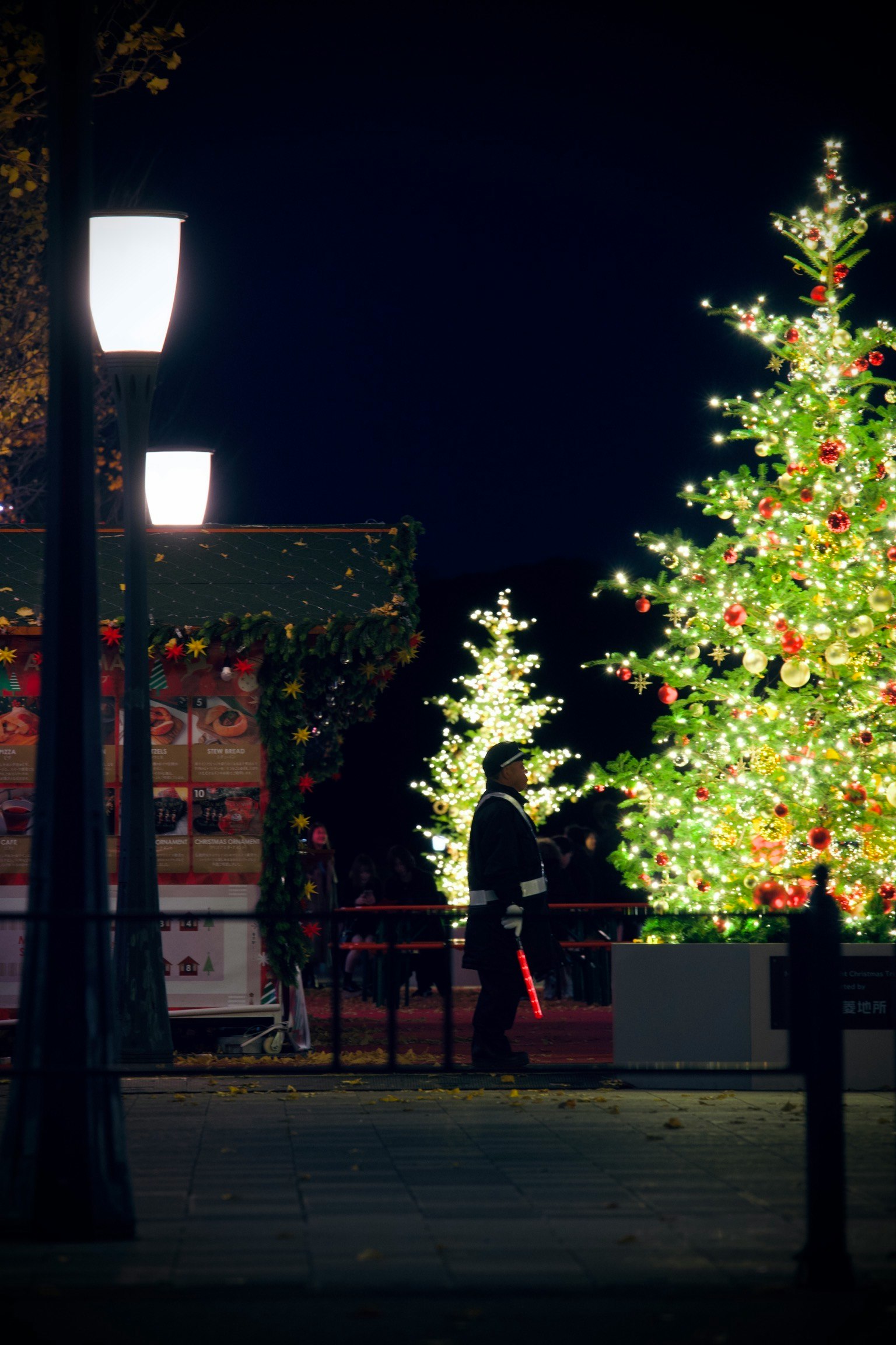 夜の公園に輝くクリスマスツリーと街灯